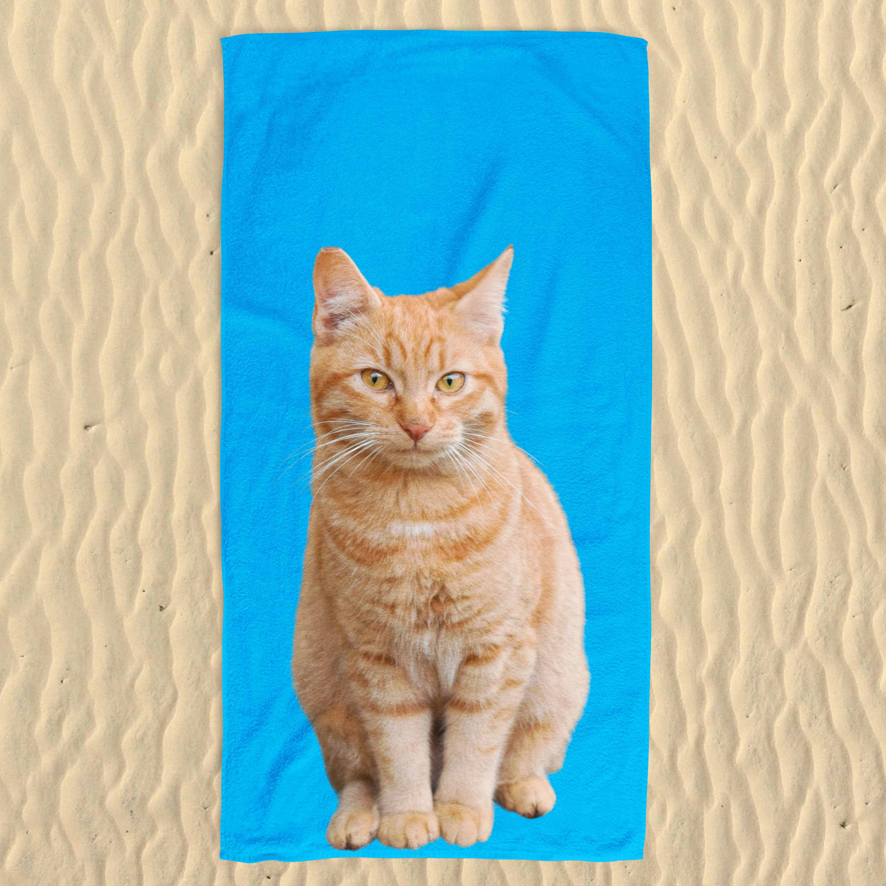 Your Cat Colour Background Beach Towel
