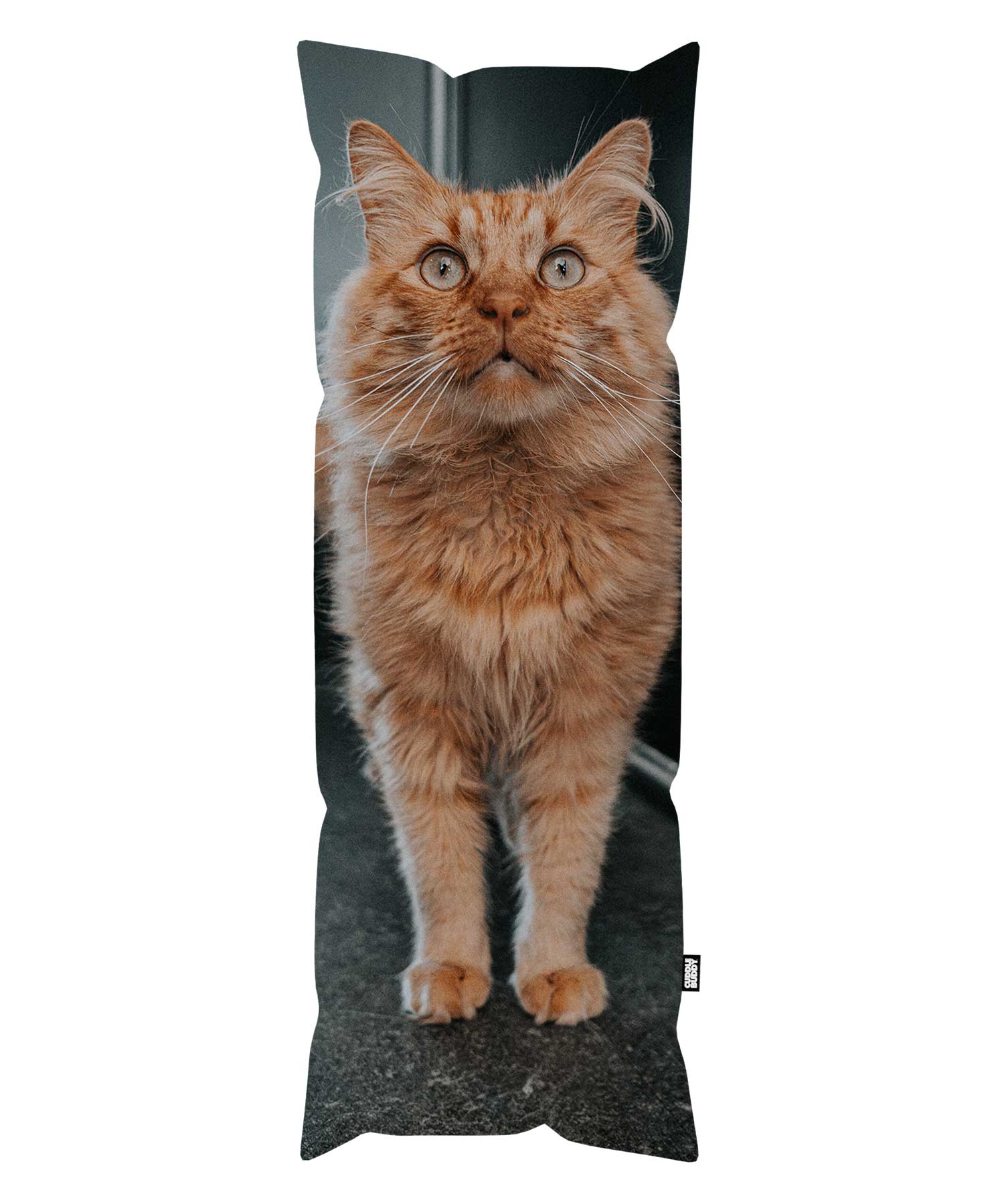 Full Cat Photo Personalised Body Pillow