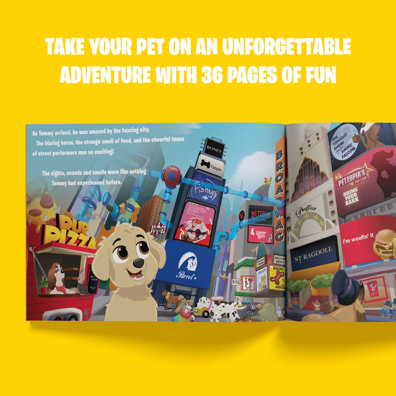 The Journey of a Pop Star Personalised Cat Storybook