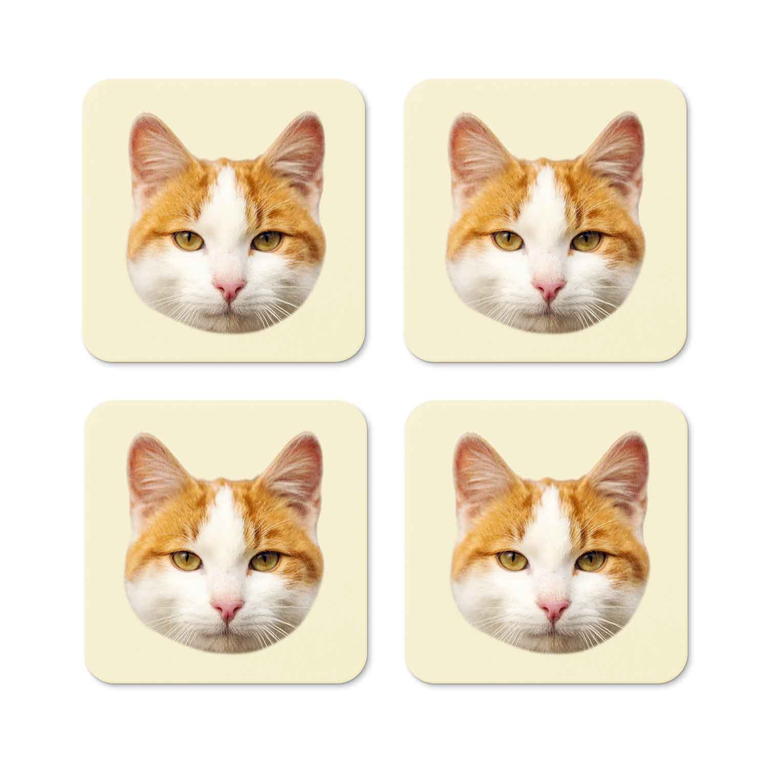 Your Cat Personalised Coasters