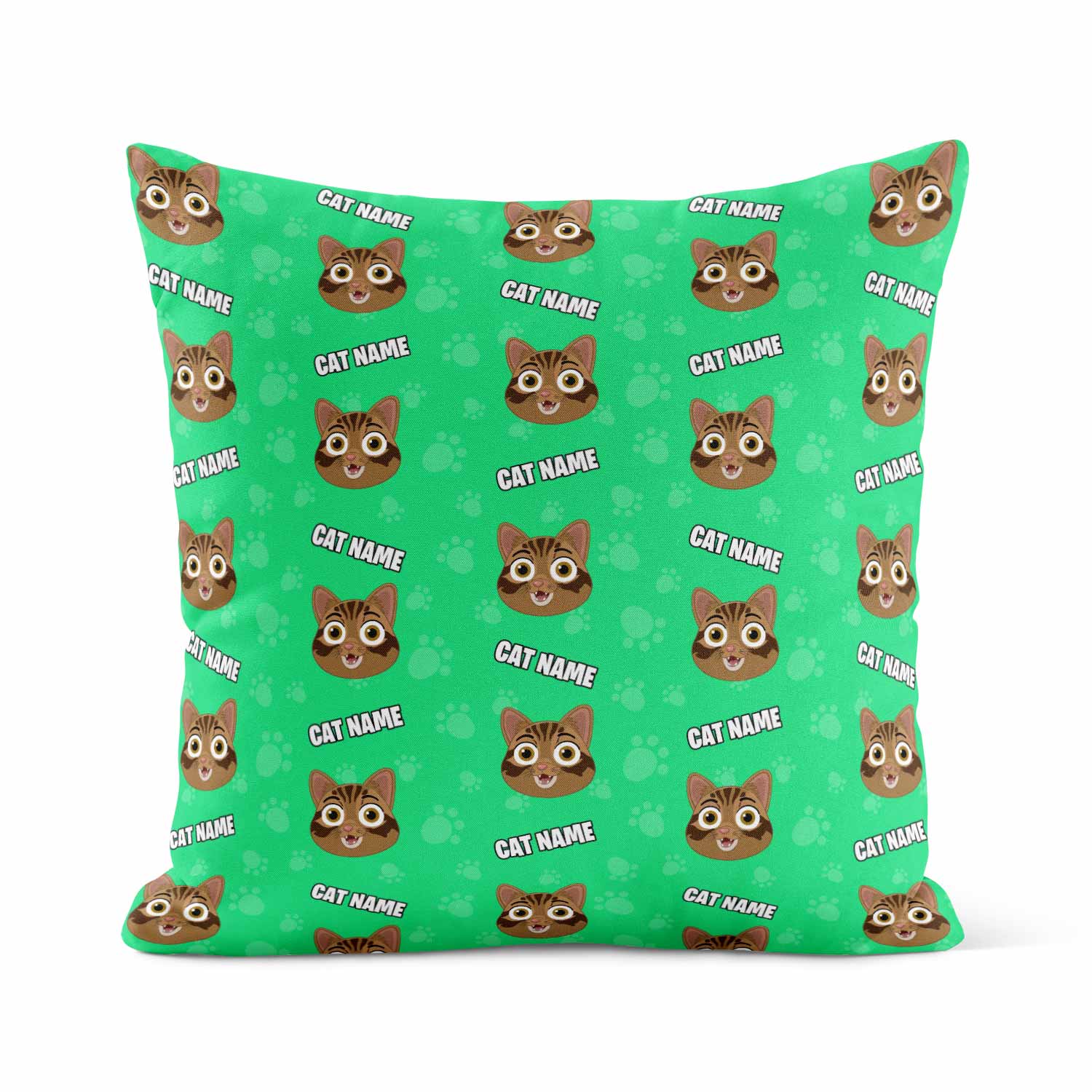 Your Cat Cartoon Personalised Pillow