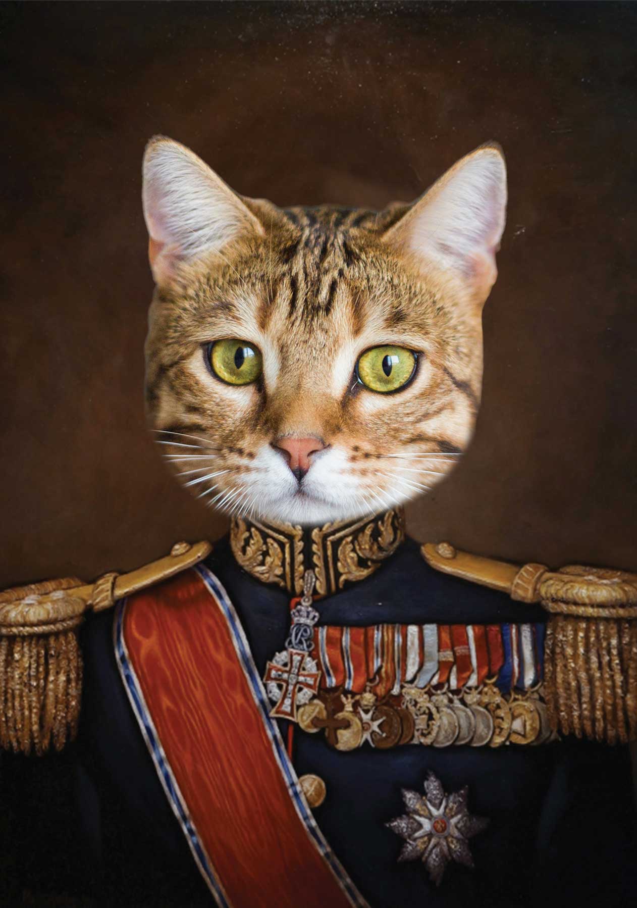 Cat Major Personalised Tea Towel