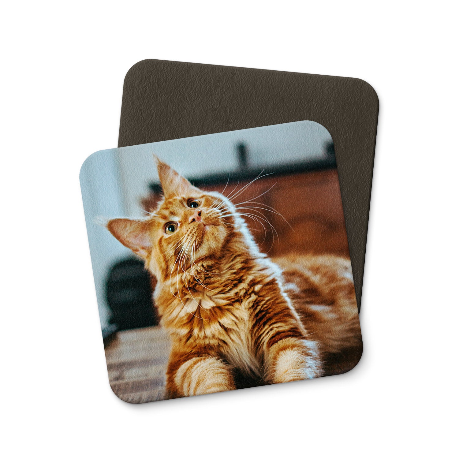 Cat Photo All Over Personalised Coasters