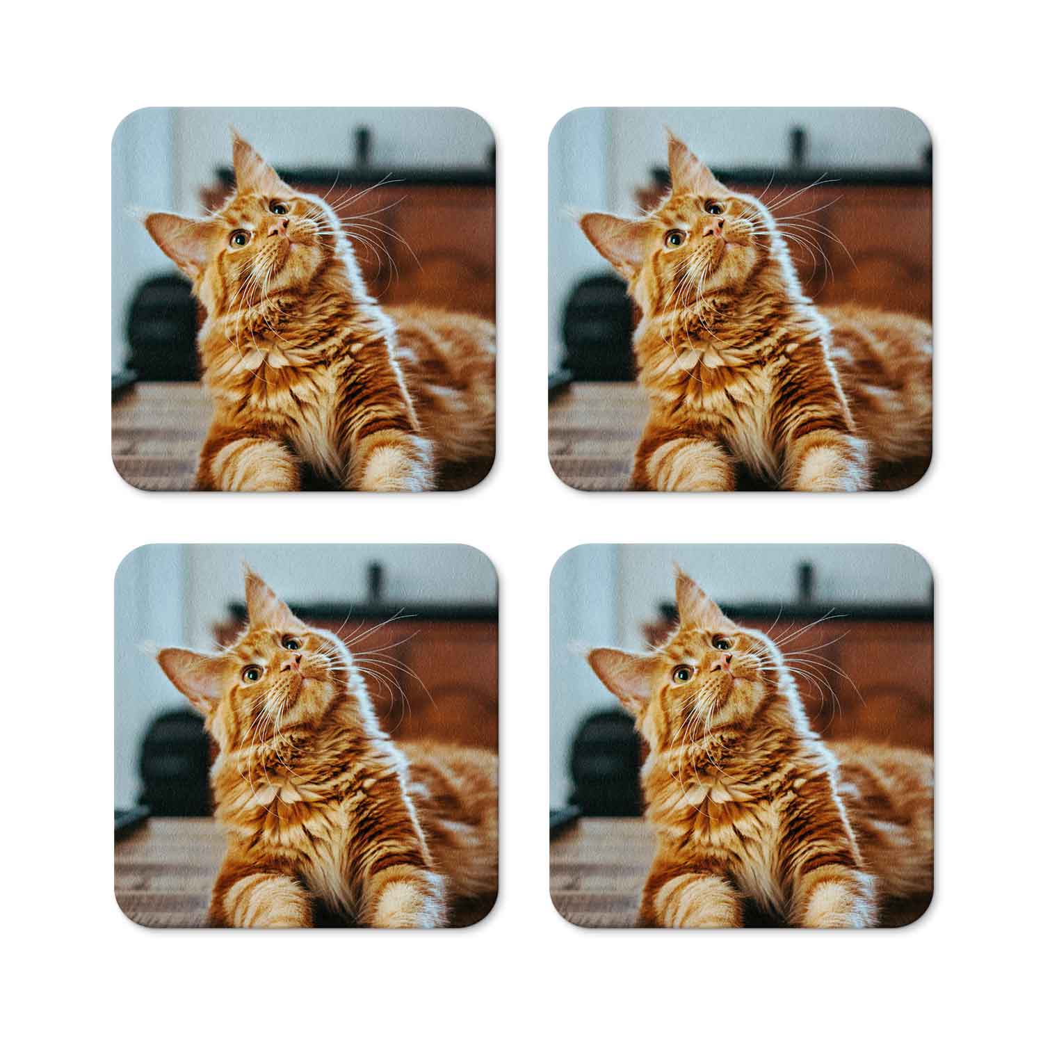 Cat Photo All Over Personalised Coasters