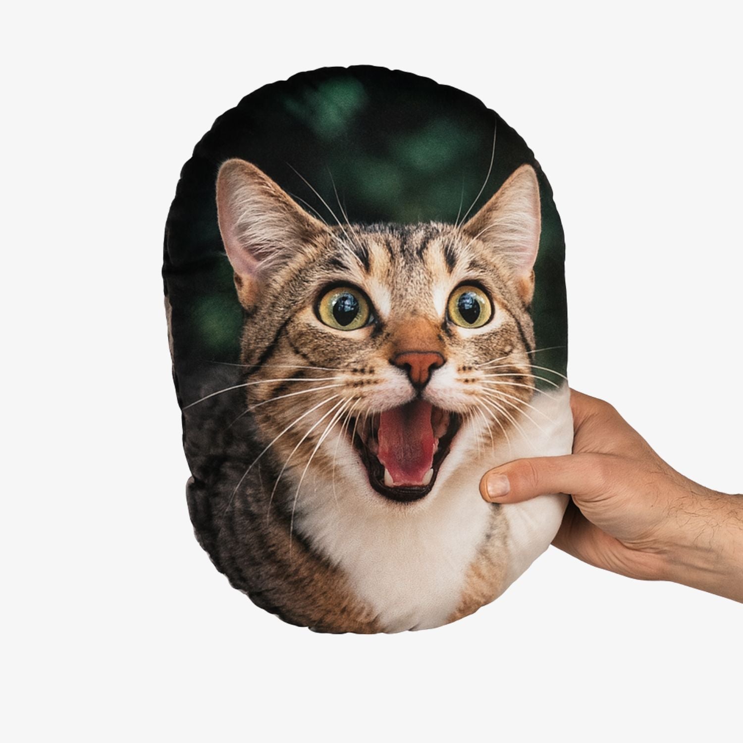 Meowie Face Cushion