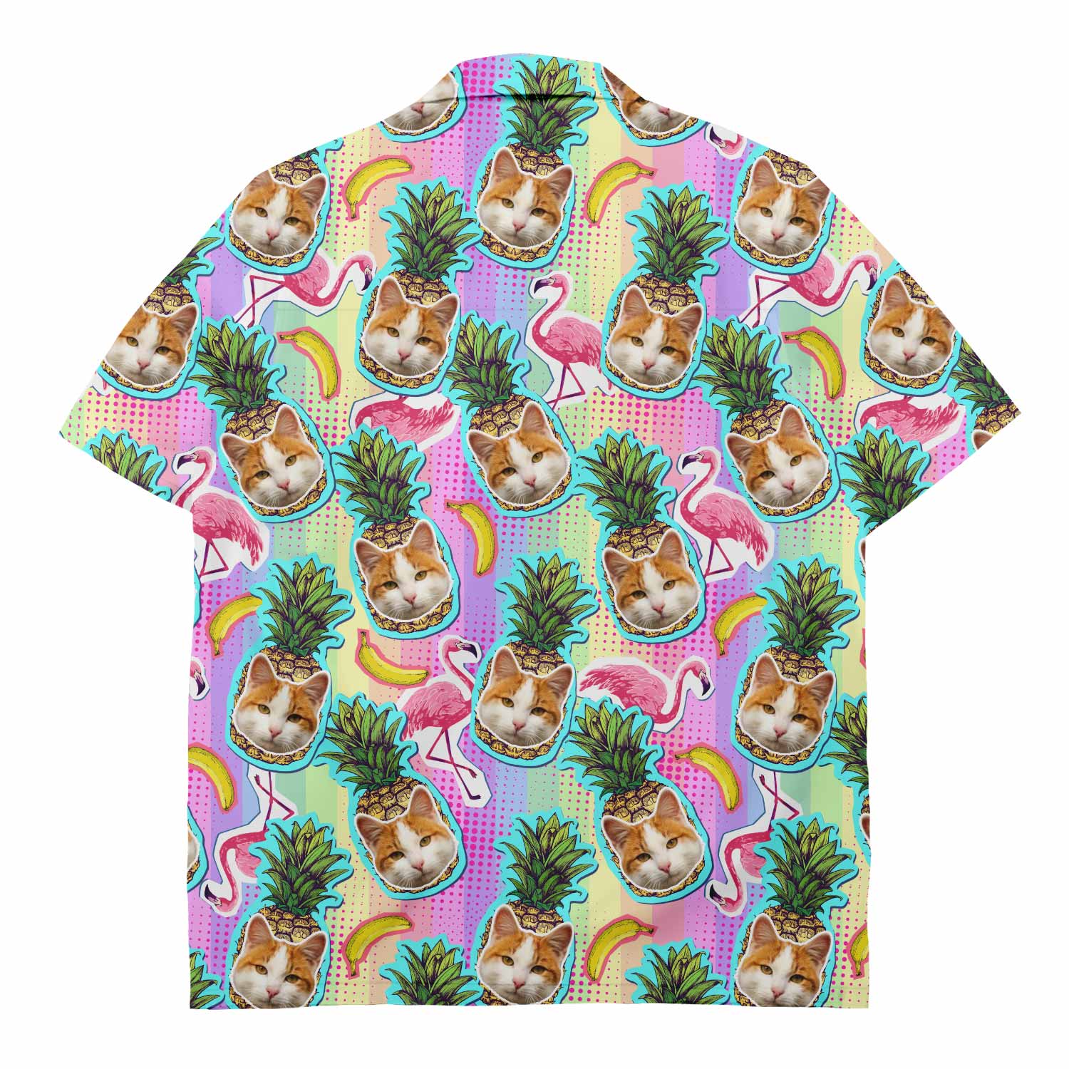 Your Cat Pineapple Fruit Hawaiian Shirt