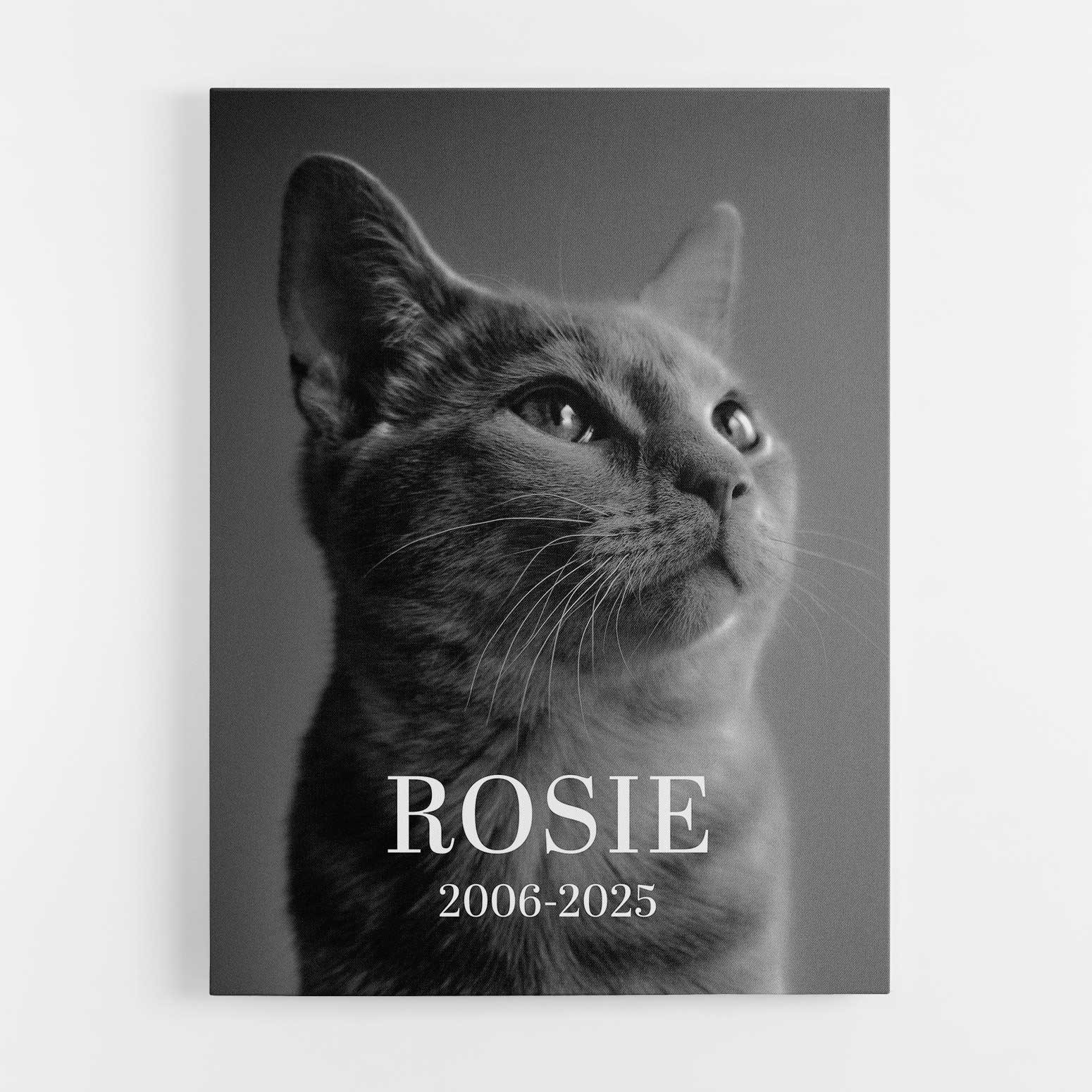Your Cat Full Photo Black & White Memorial Canvas