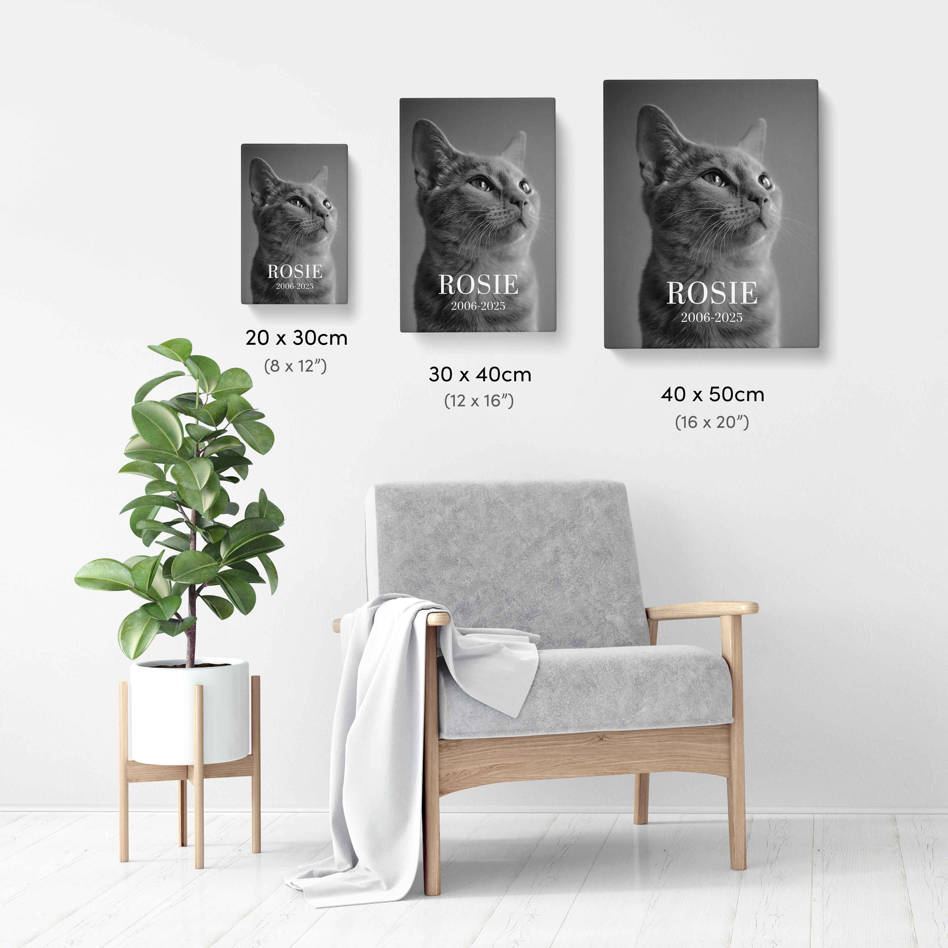 Your Cat Full Photo Black & White Memorial Canvas