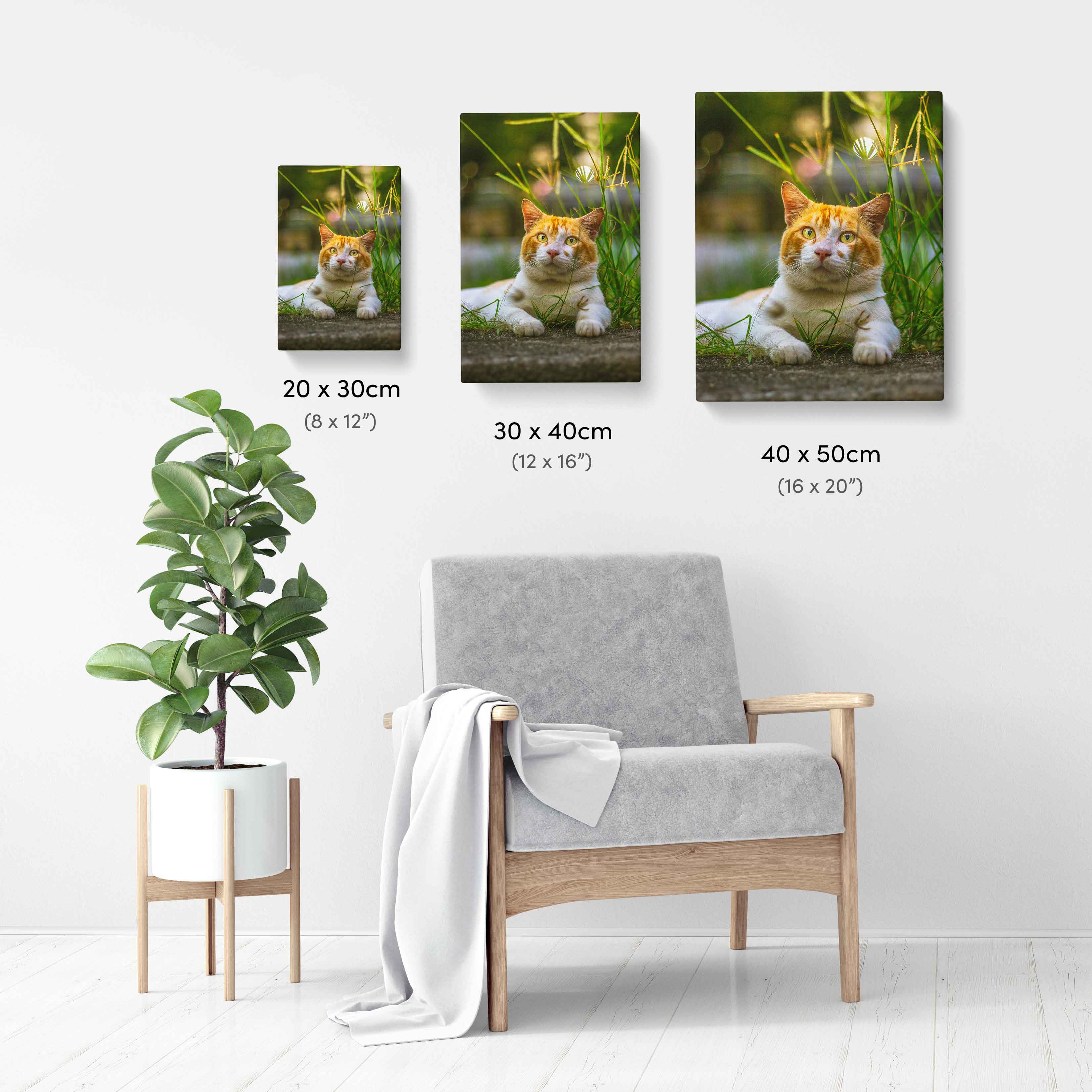 Your Cat Full Photo Canvas