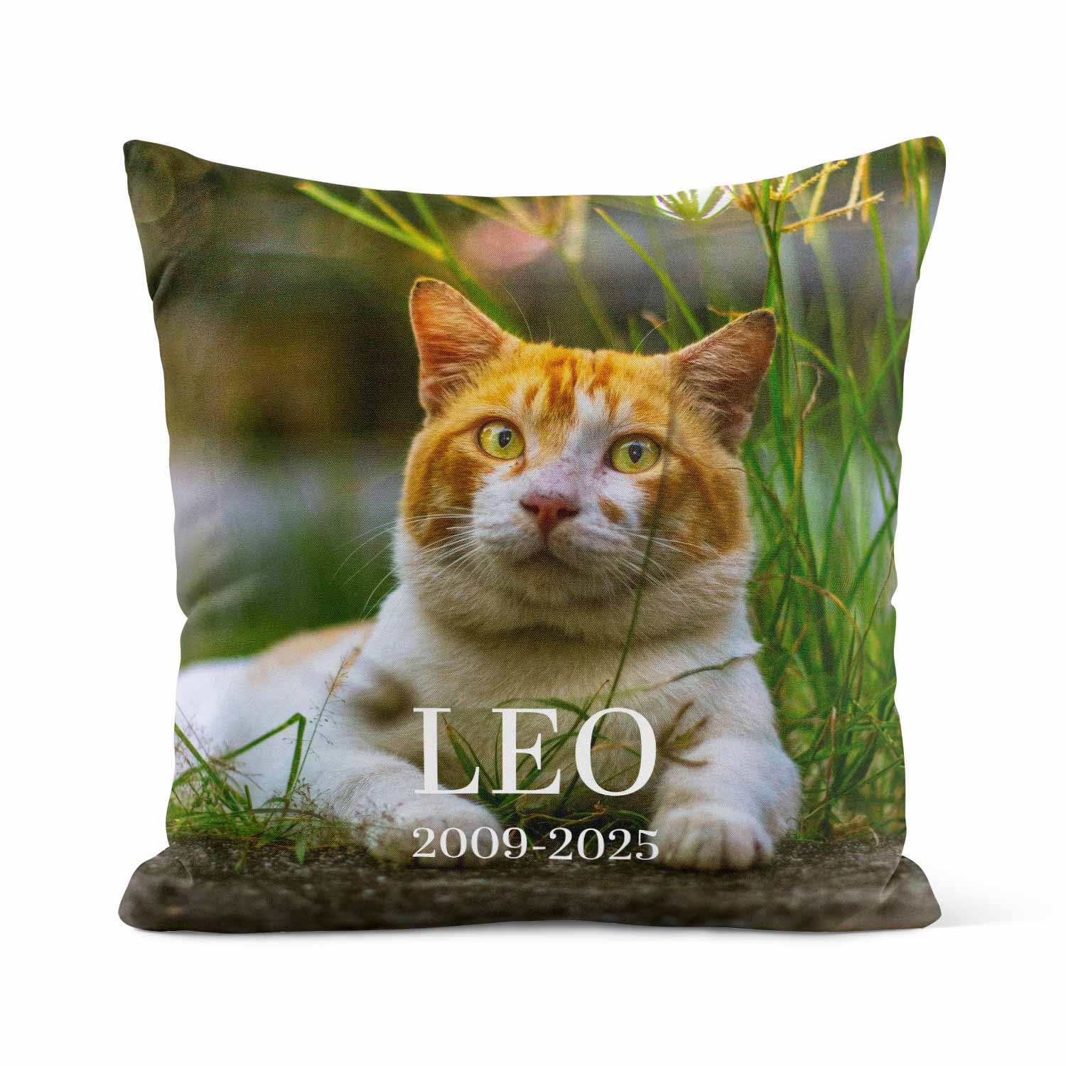 (Name) & (Date) Your Cat Full Photo Memorial Cushion