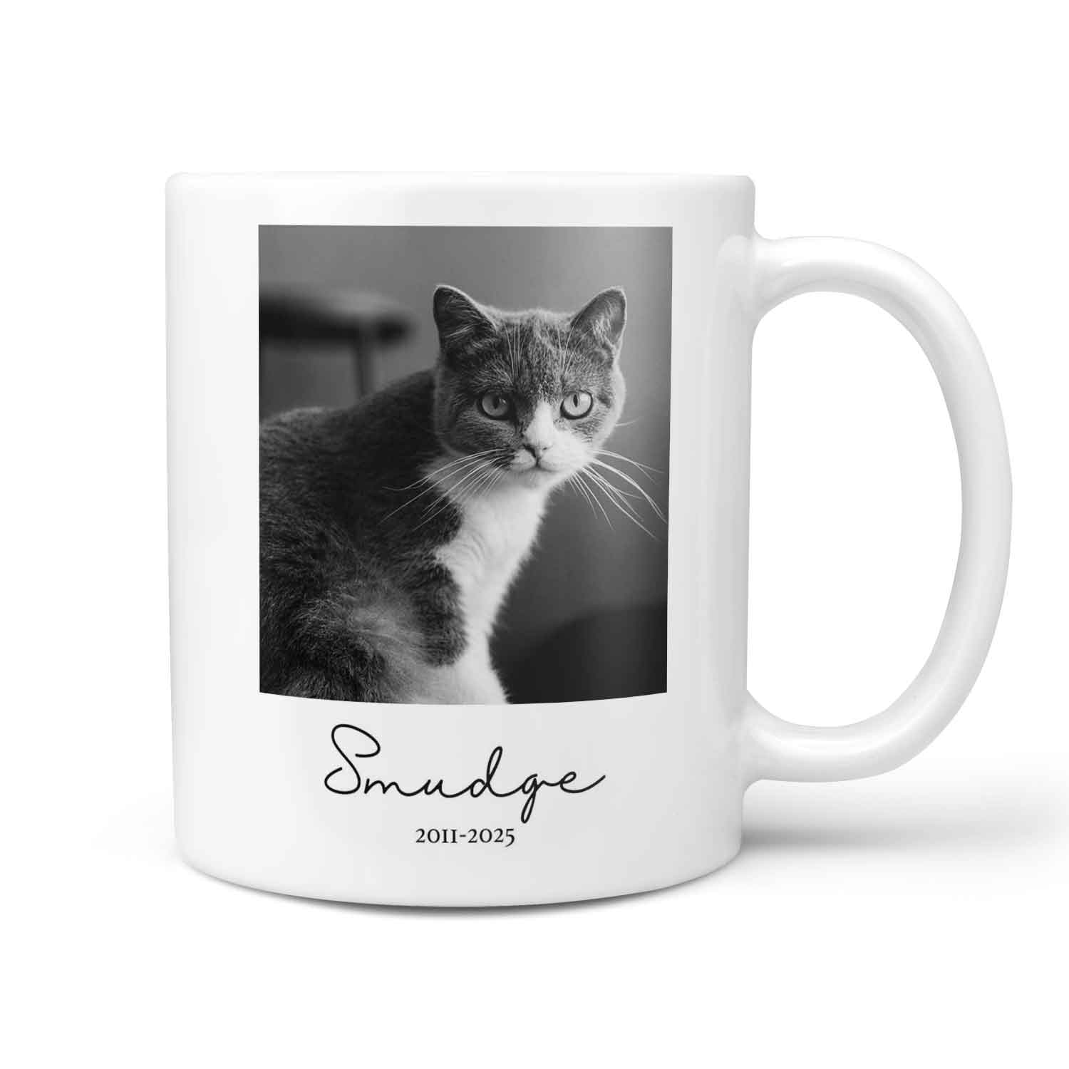 Black and White Cat Photo & Name Personalised Memorial Mug