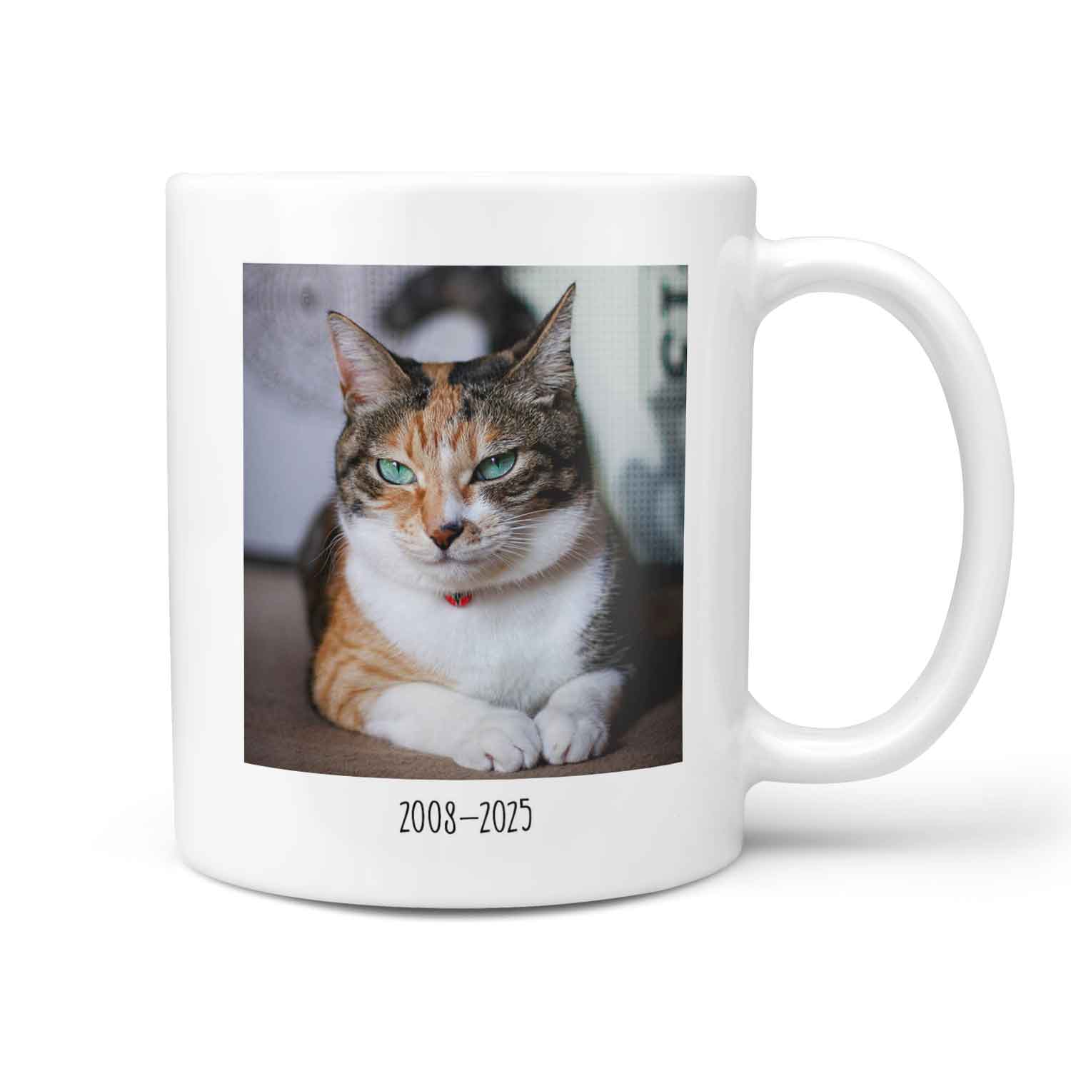 (Name) Favourite Hello & Hardest Goodbye Cat Memorial Mug