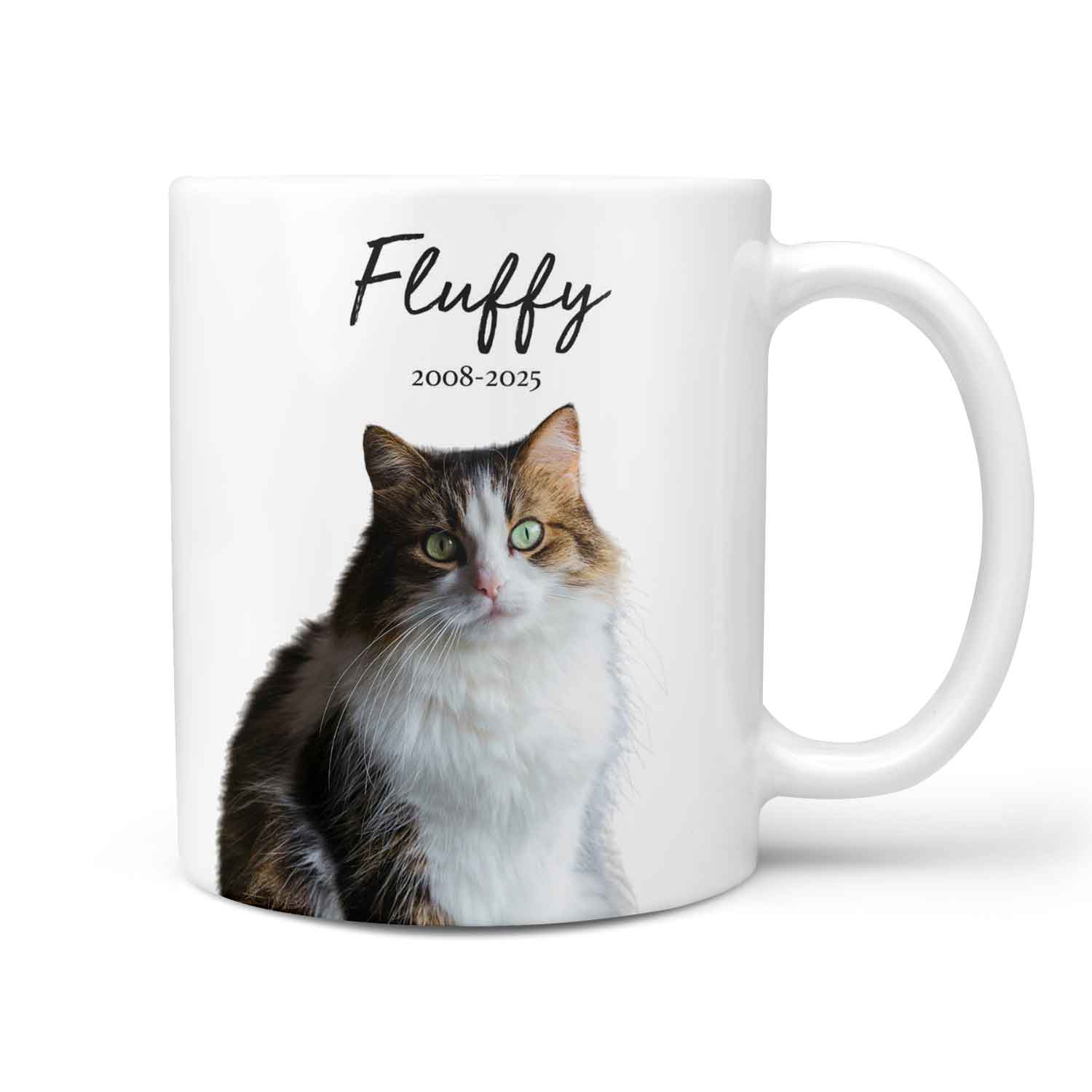 Your Cat (Name & Date) Personalised Memorial Mug