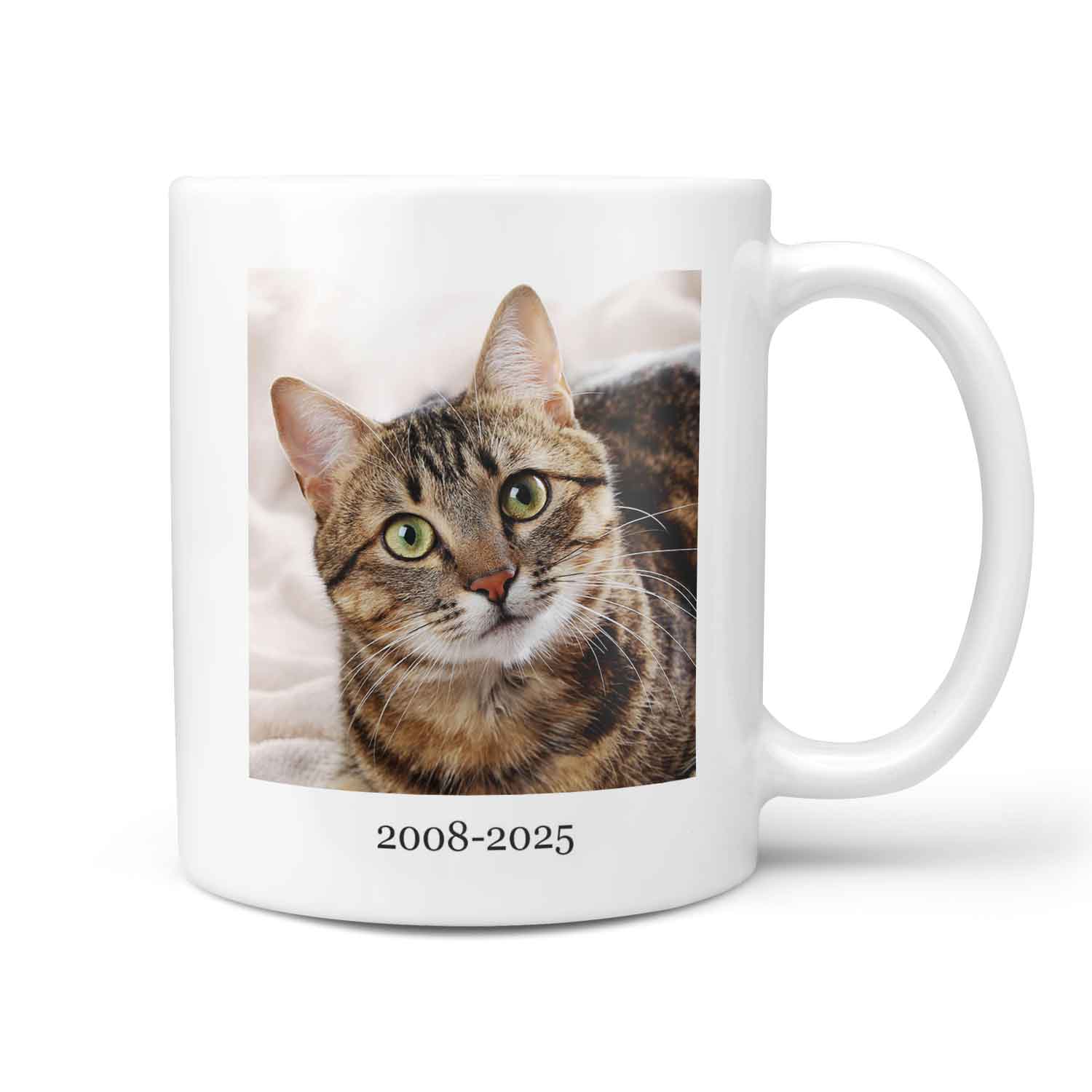 (Cat Name) You Left Paw Prints On My Heart Personalised Memorial Mug