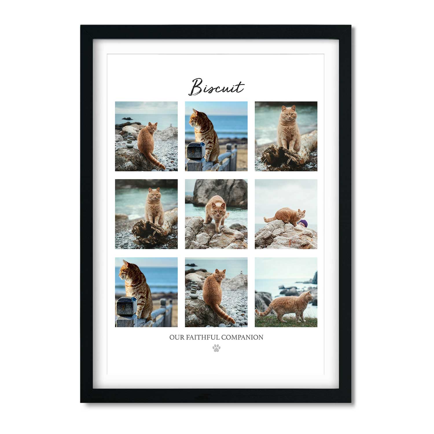 (Cat Name) Our Faithful Companion Photo Collage Memorial Print