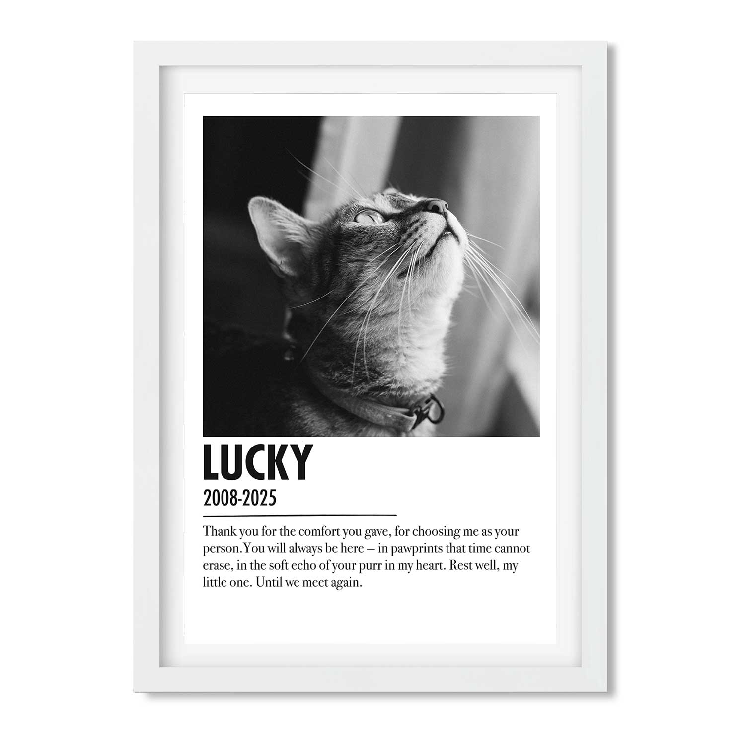(Name) & (Date) With Custom Message Cat Memorial Print