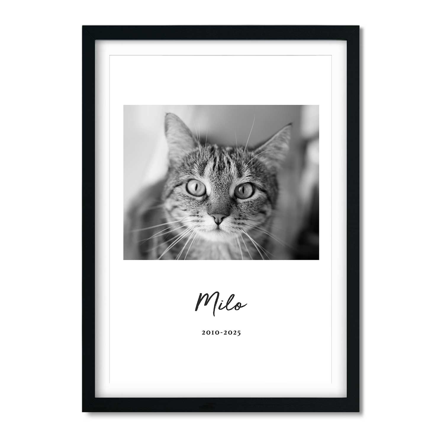 Black and White Cat Memorial Print