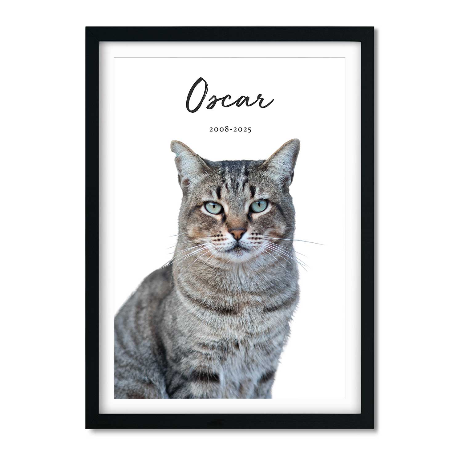 Your Cat (Name & Date) Personalised Memorial Print