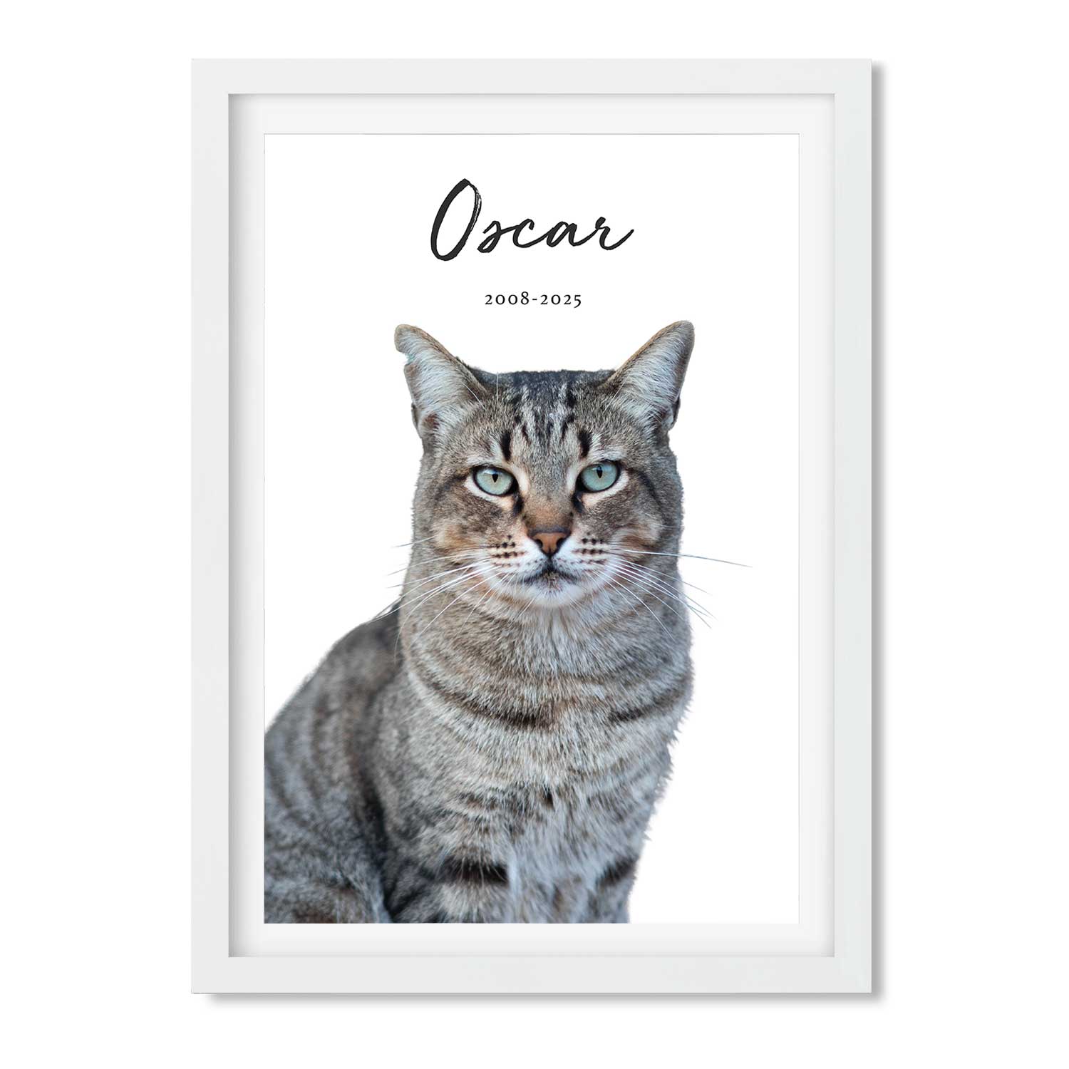 Your Cat (Name & Date) Personalised Memorial Print