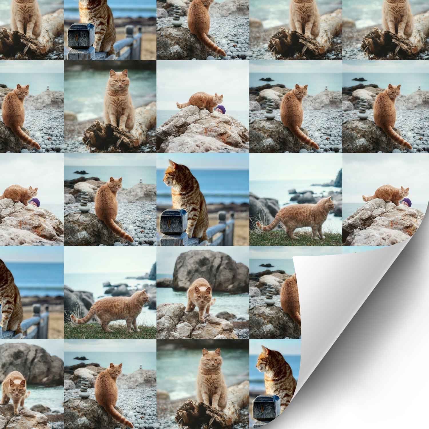 Your Cat Photo Collage Custom Wrapping Paper