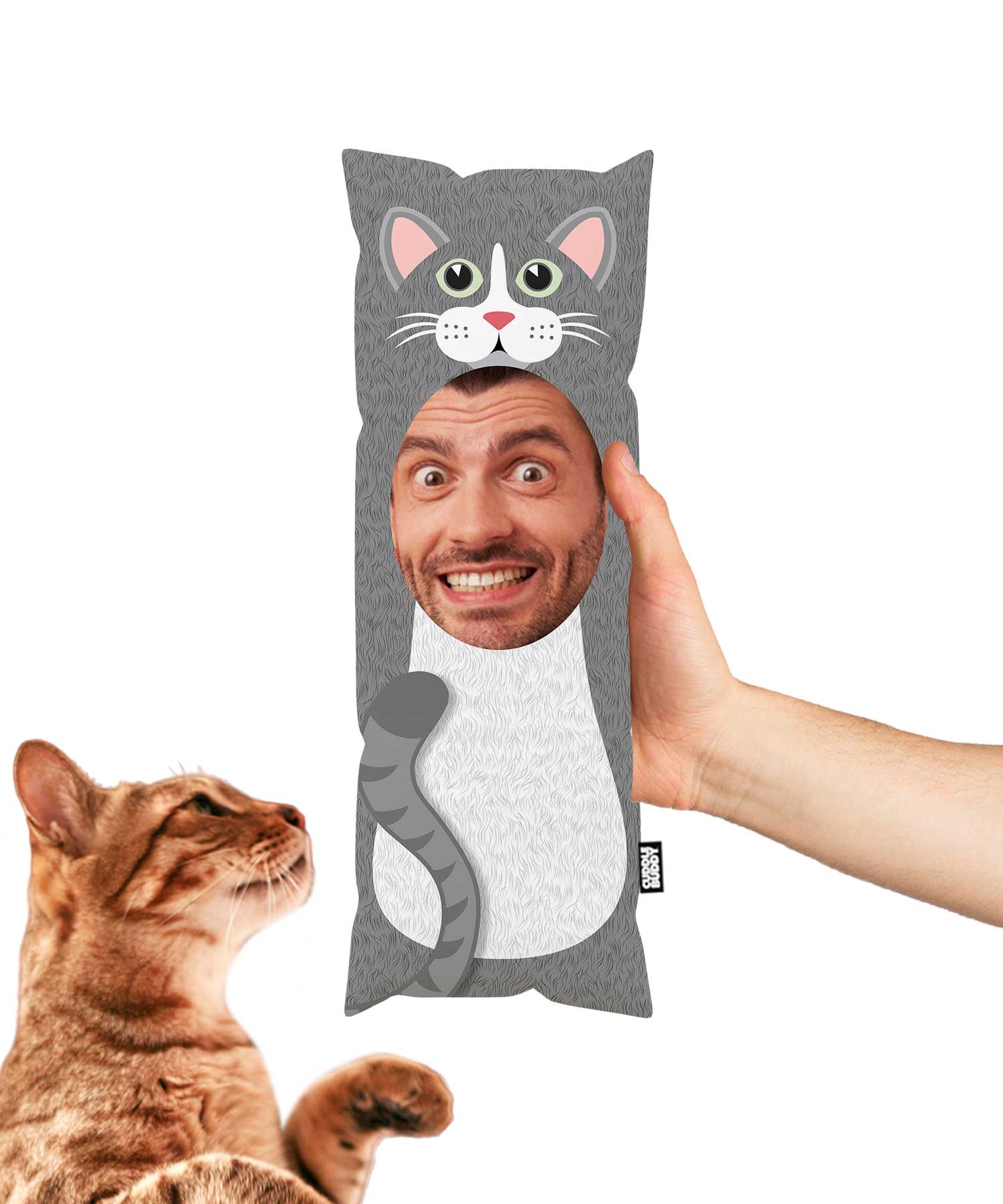 You As A Cat Toy