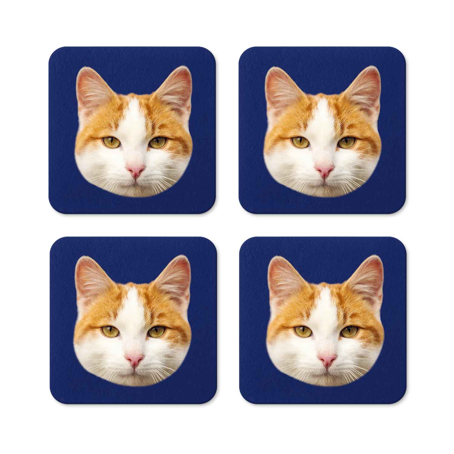 Your Cat Personalised Coasters