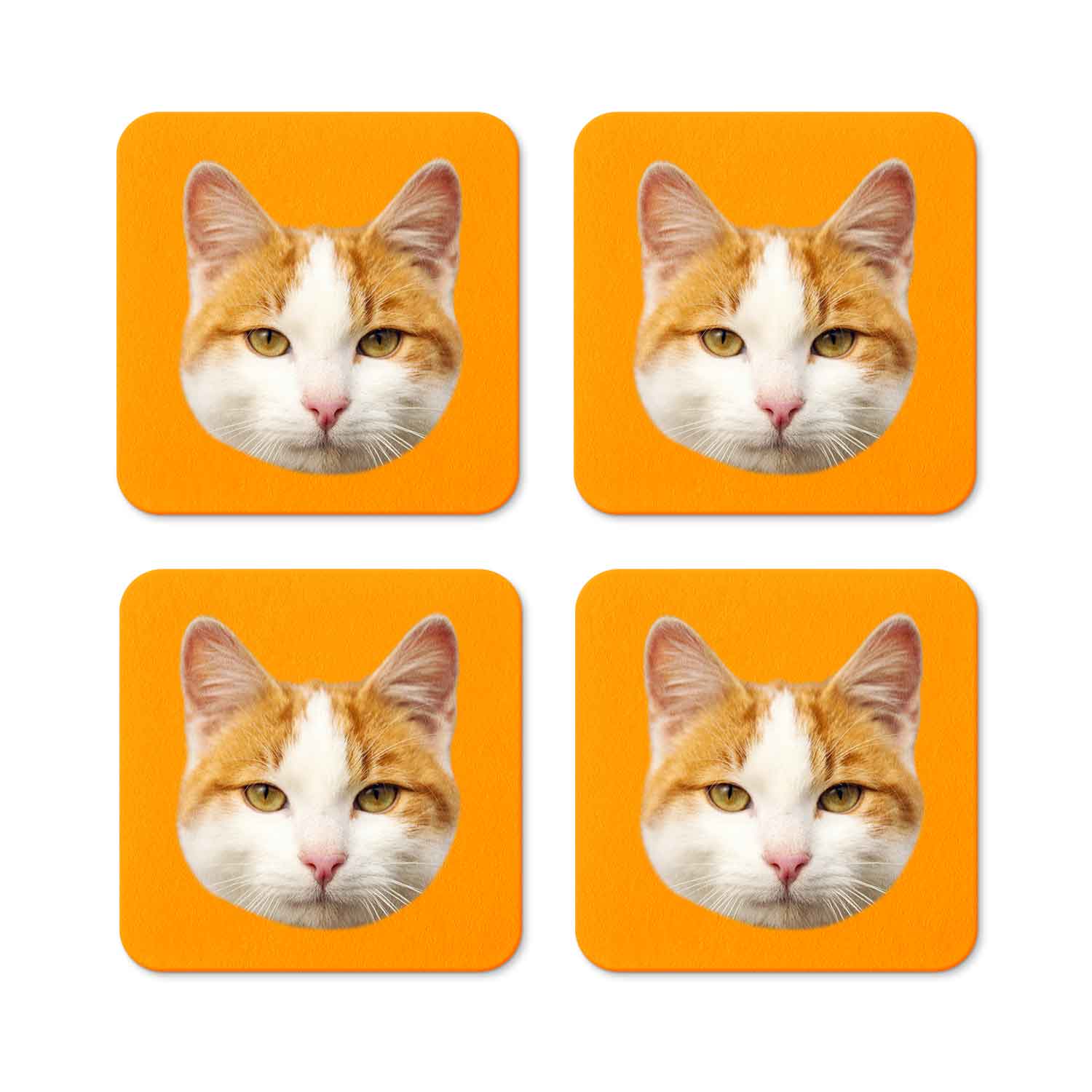 Your Cat Personalised Coasters