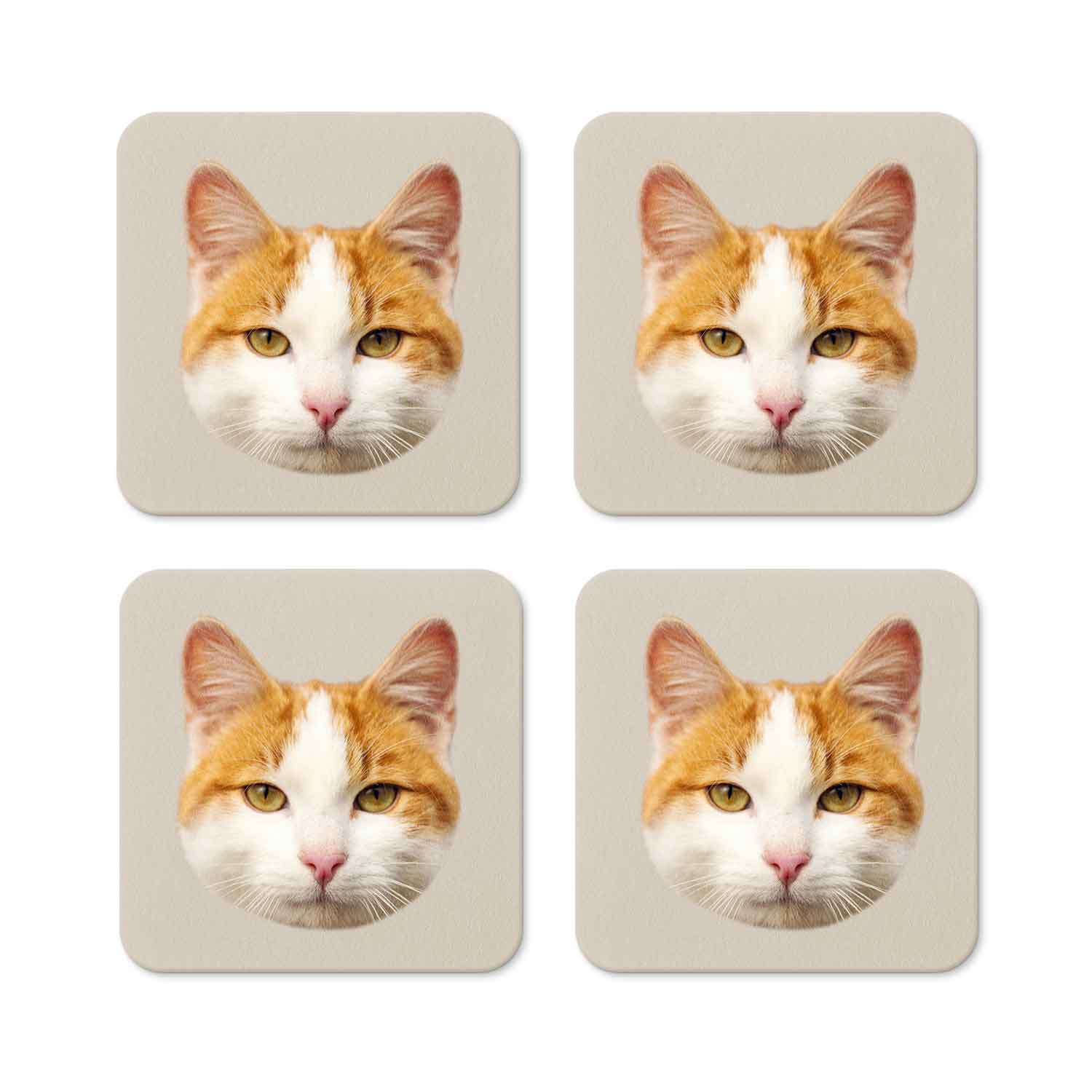 Your Cat Personalised Coasters