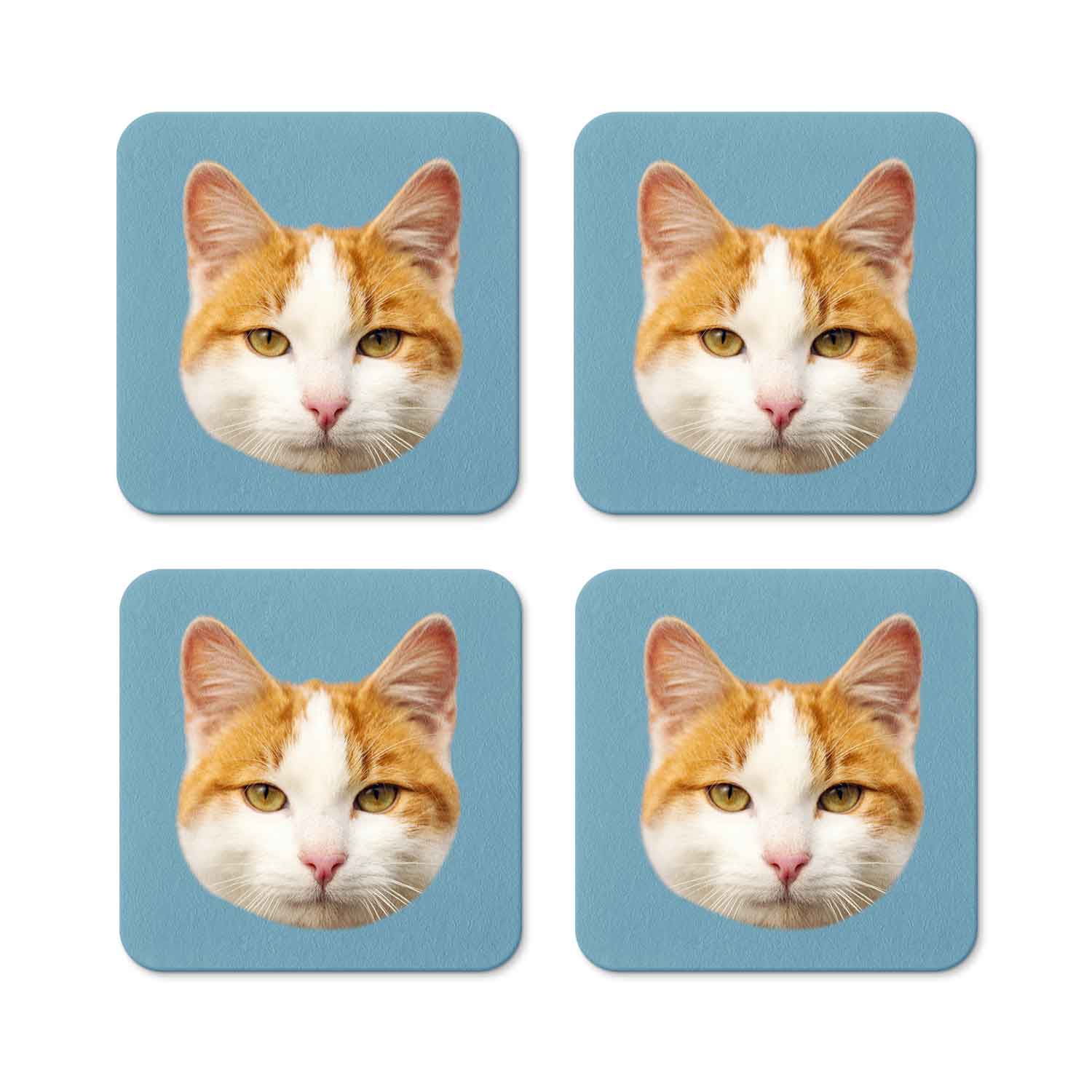 Your Cat Personalised Coasters