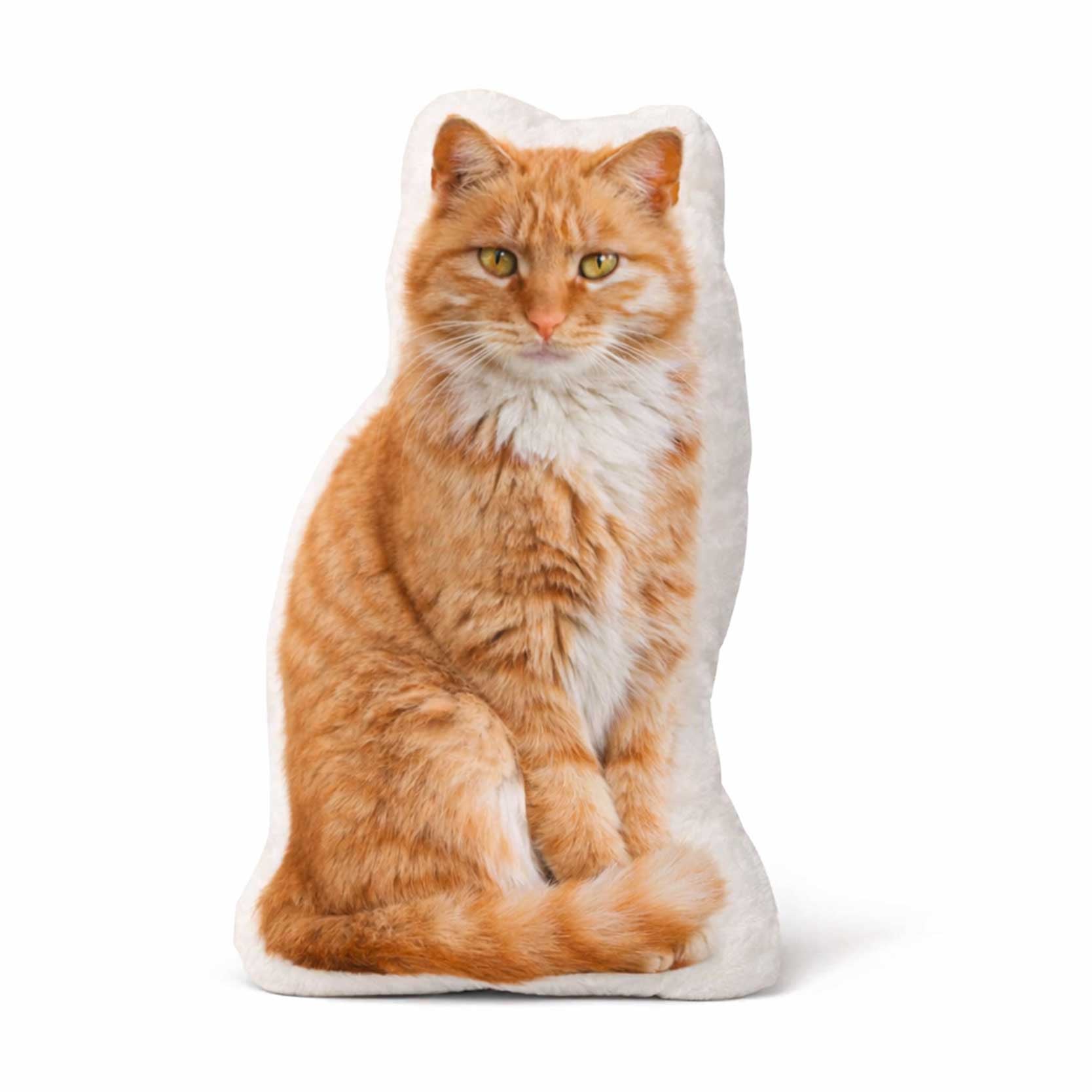 Cat Photo Face Pillow