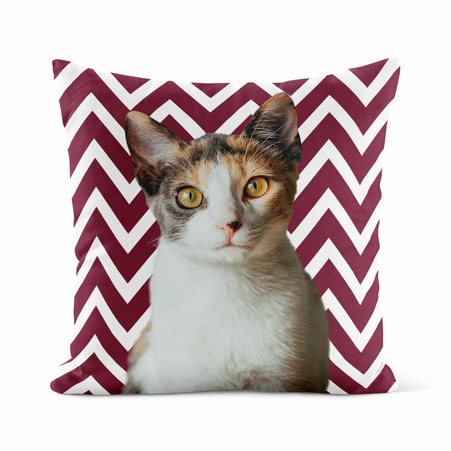 Your Cat Zig Zag Pattern Cushion