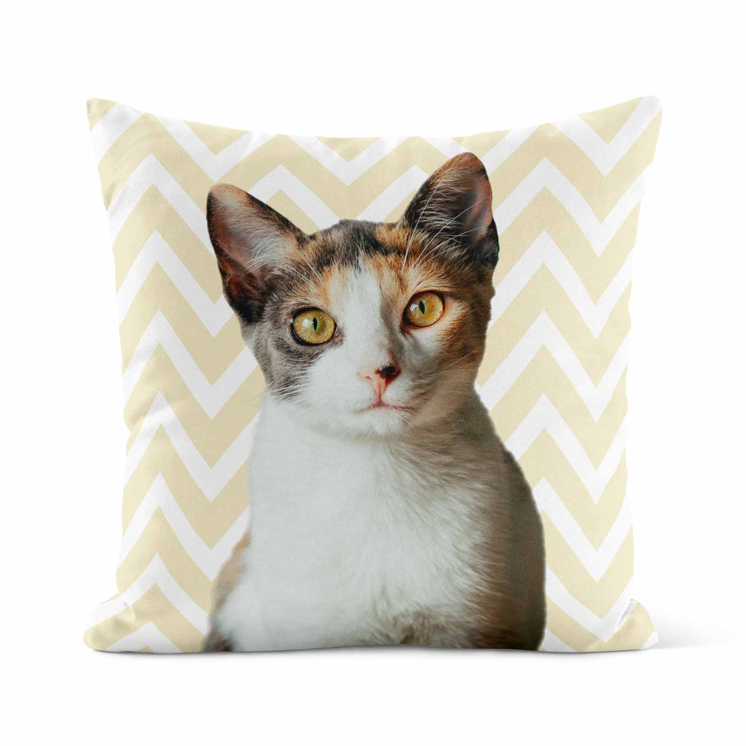 Your Cat Zig Zag Pattern Cushion