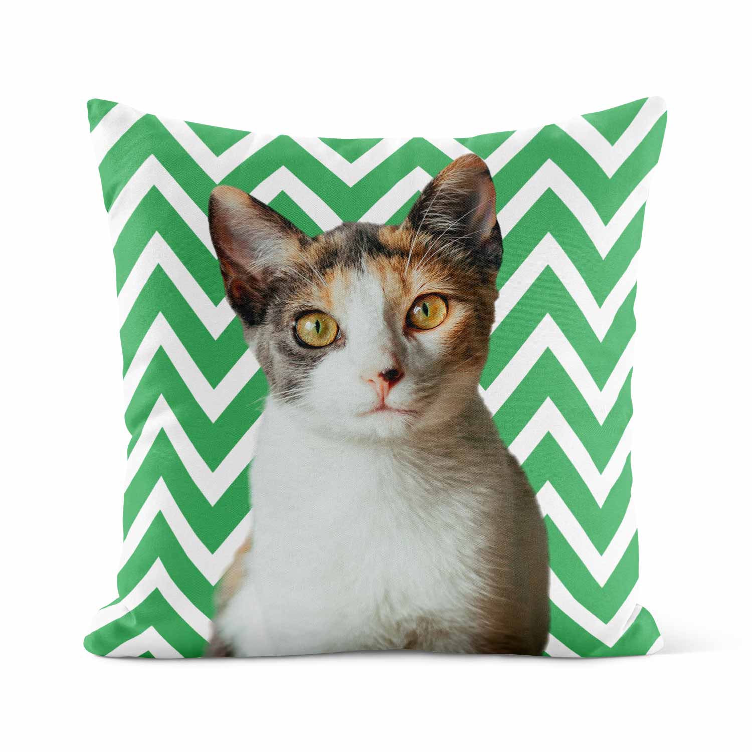 Your Cat Zig Zag Pattern Cushion