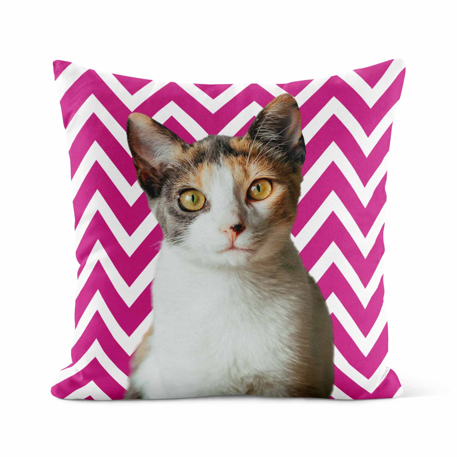 Your Cat Zig Zag Pattern Cushion