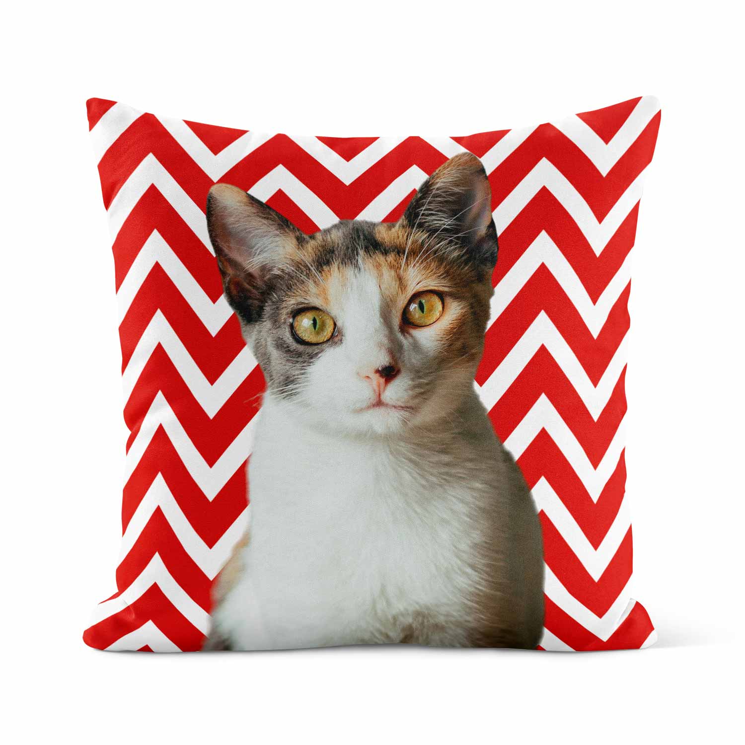 Your Cat Zig Zag Pattern Cushion