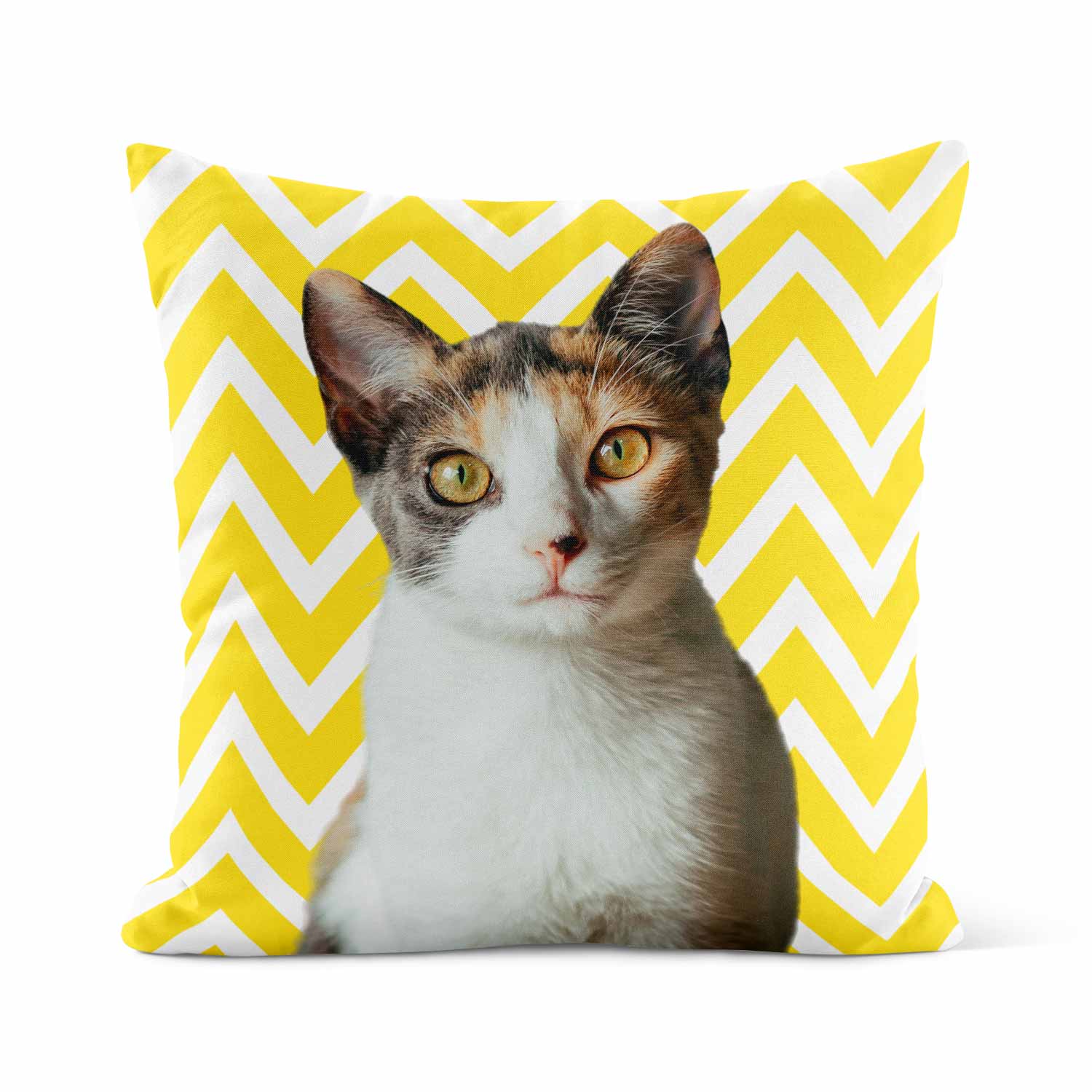 Your Cat Zig Zag Pattern Cushion