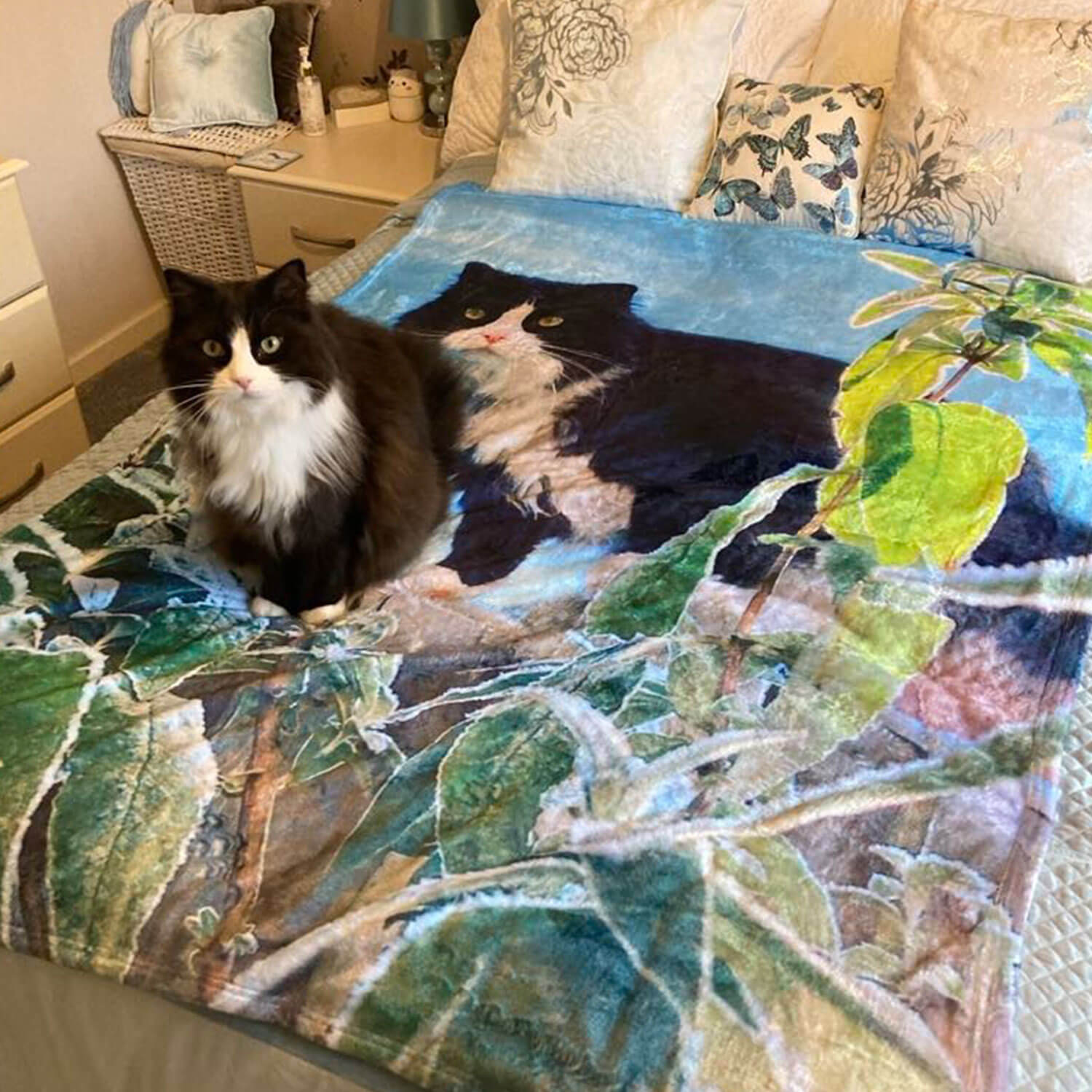 photo cat blanket