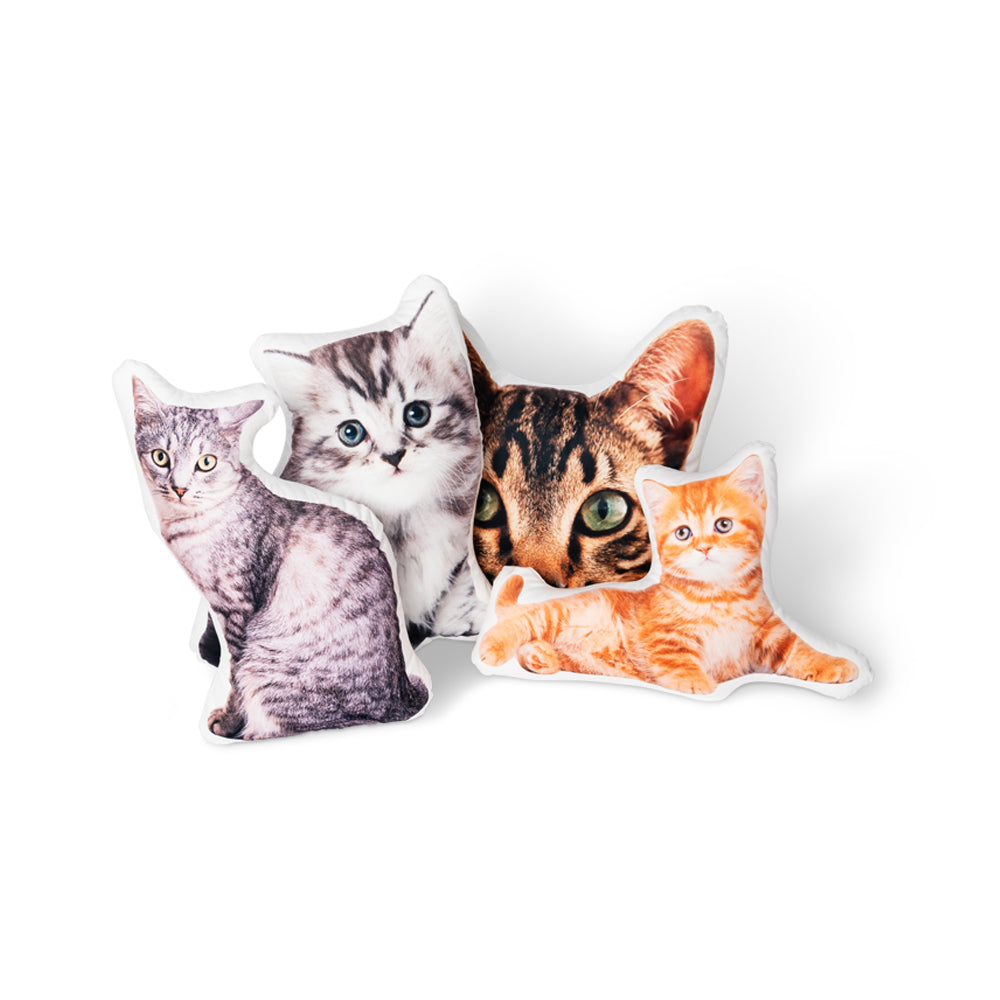 photo cat pillow