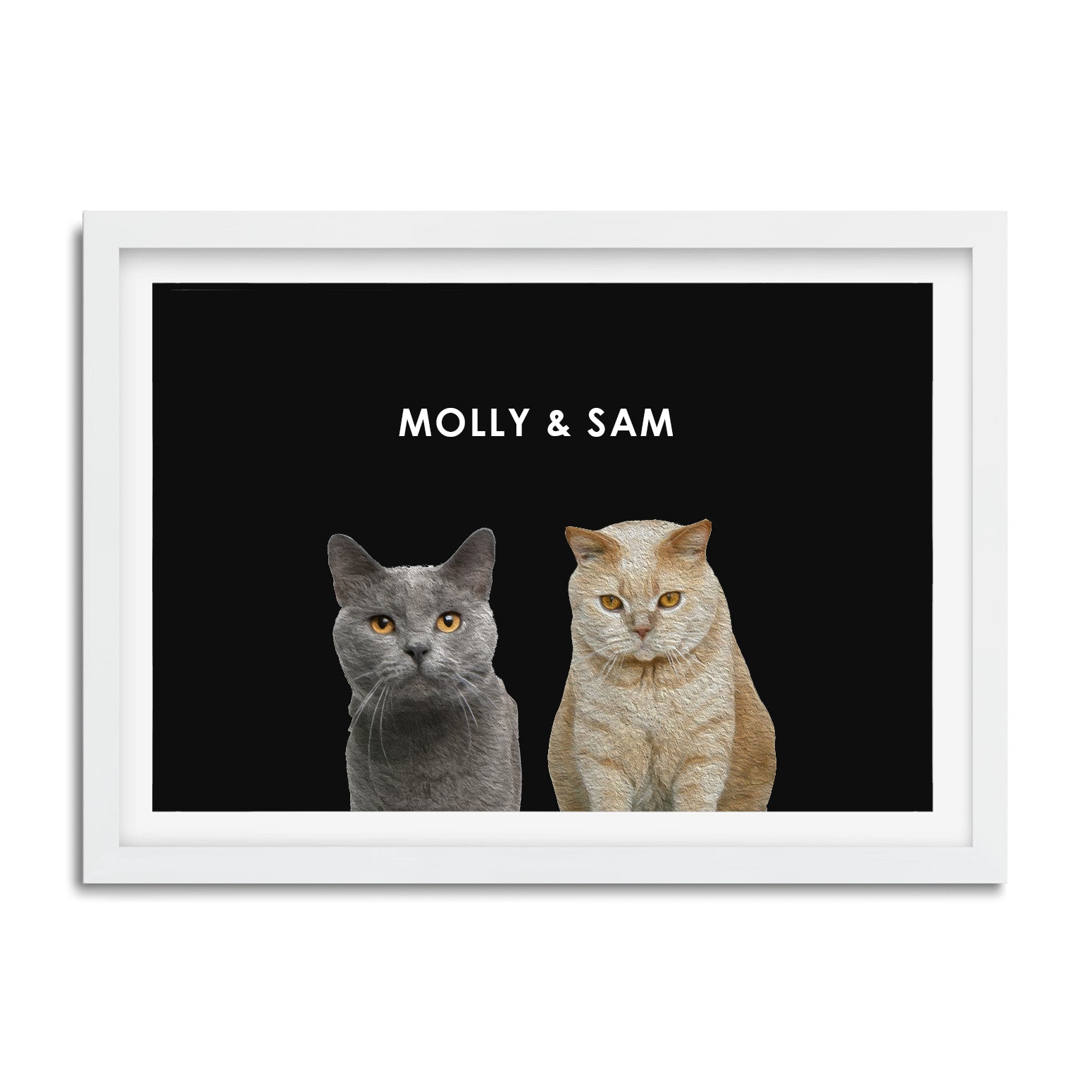 Custom 2 or 3 Cats Portrait