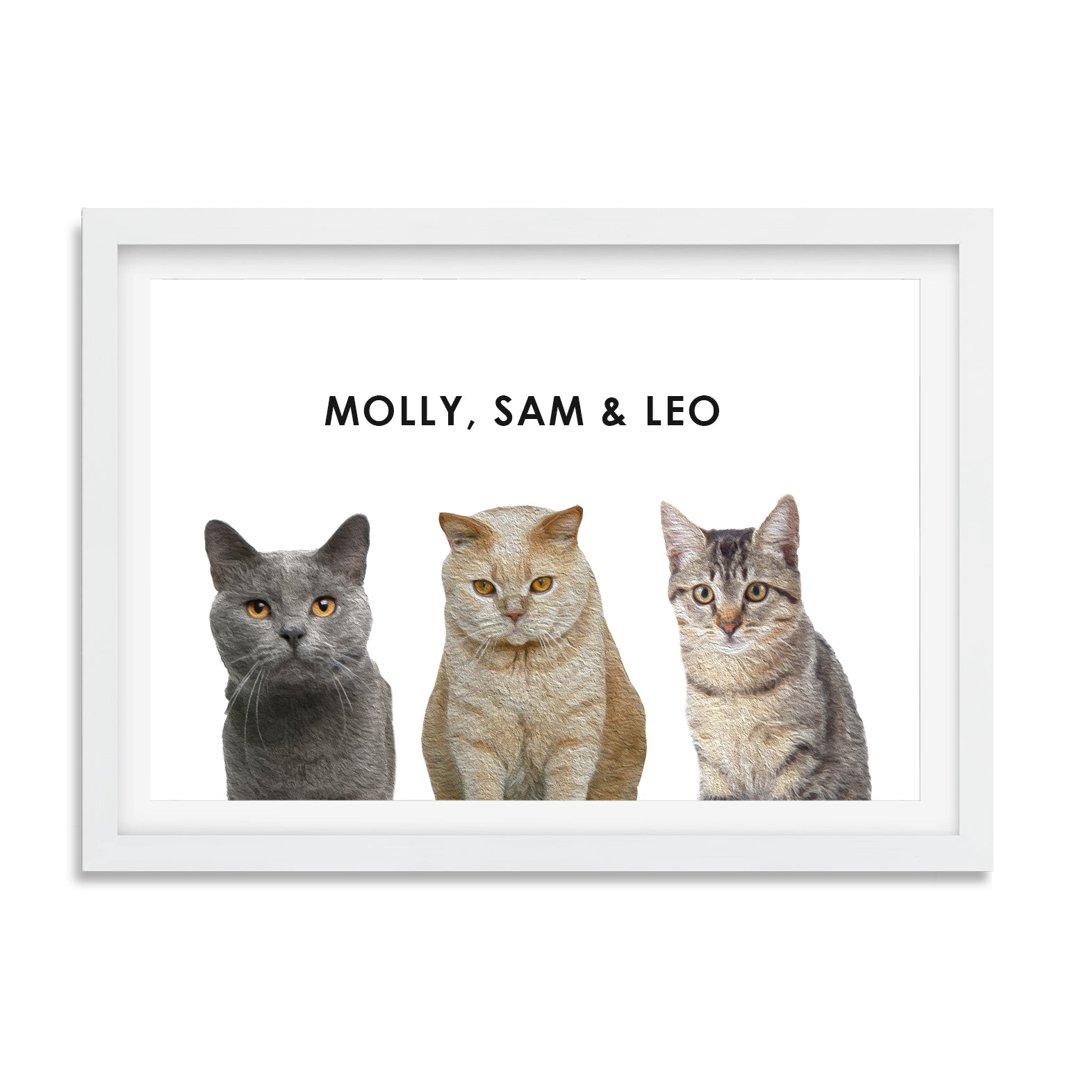 Custom 2 or 3 Cats Portrait