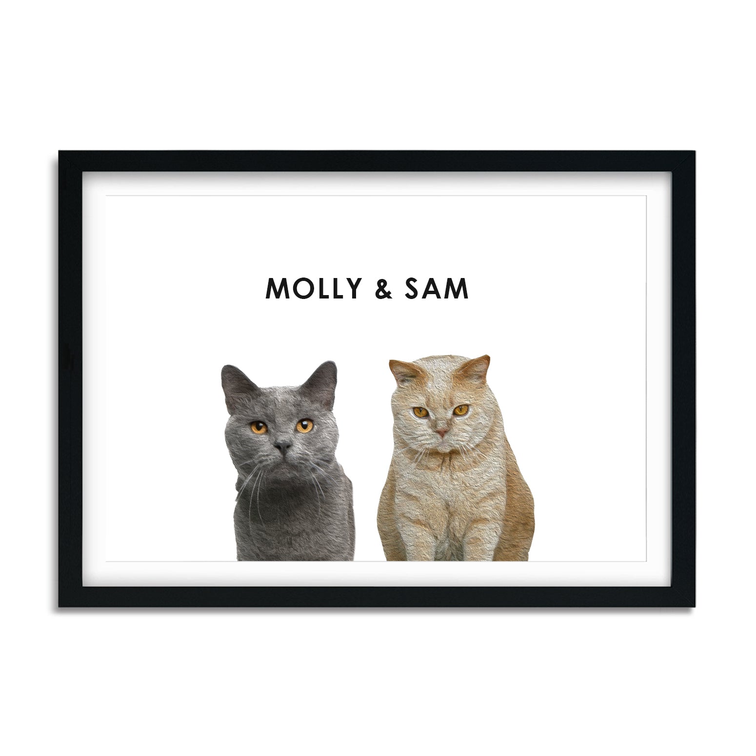 Custom 2 or 3 Cats Portrait