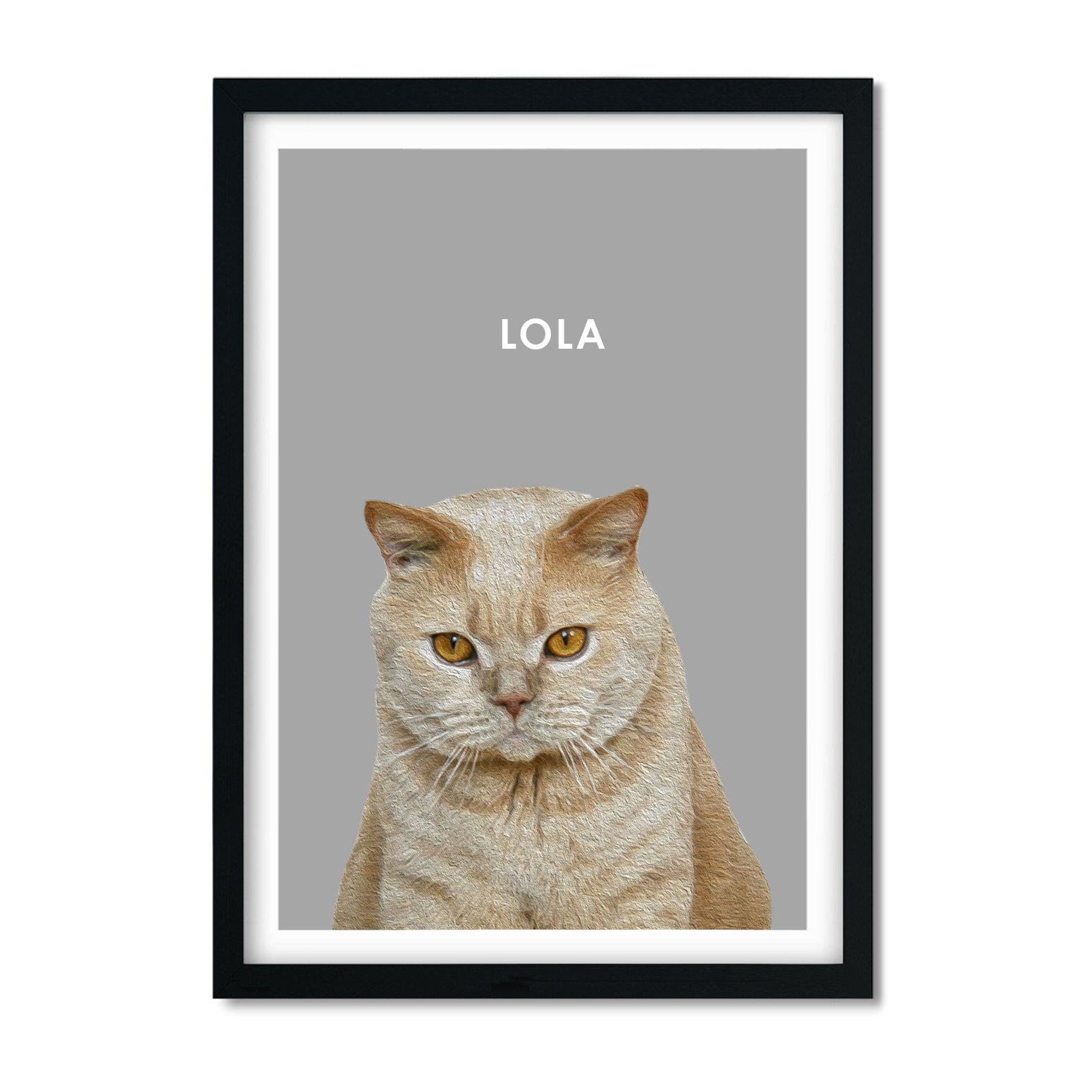 Custom Cat Portrait