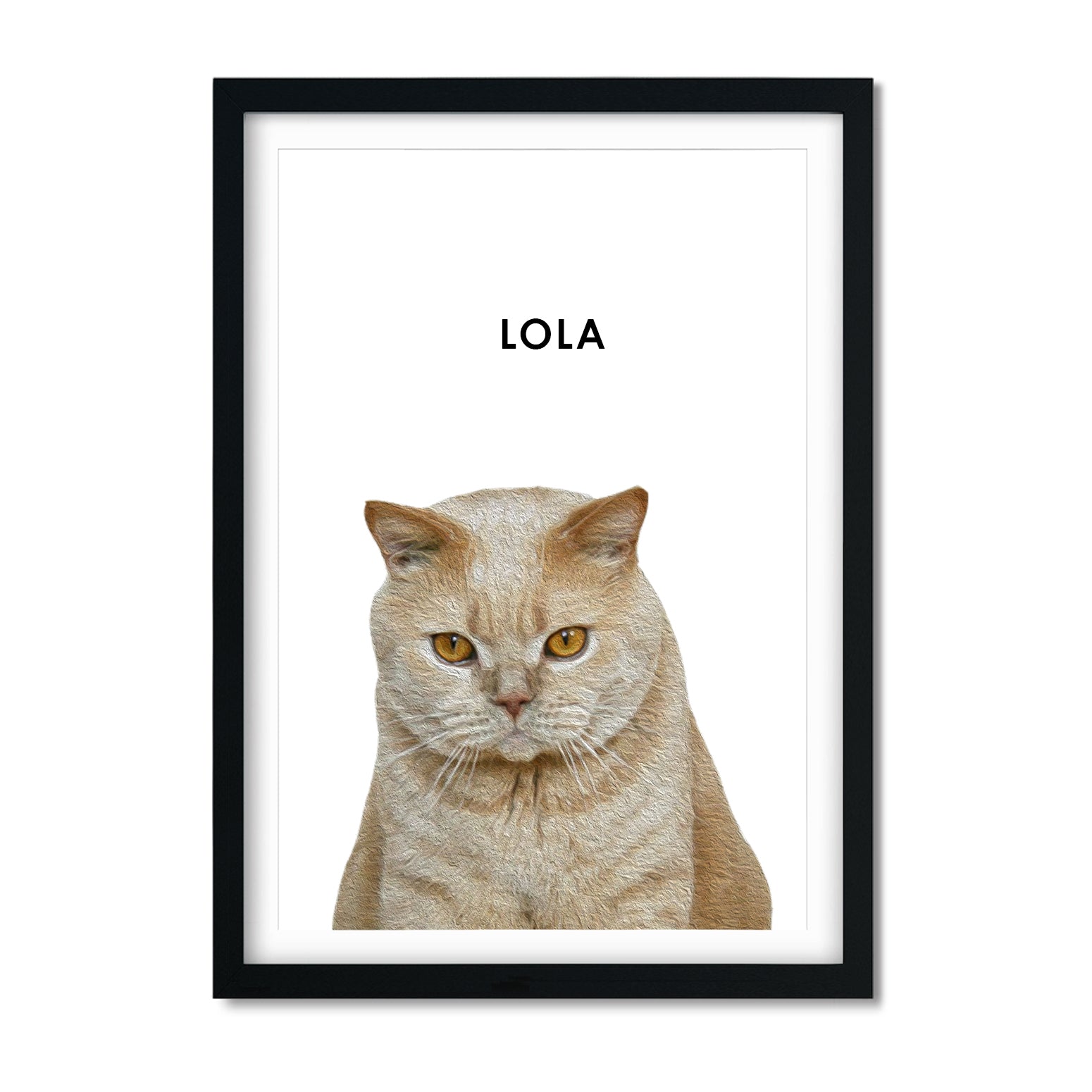 Custom Cat Portrait