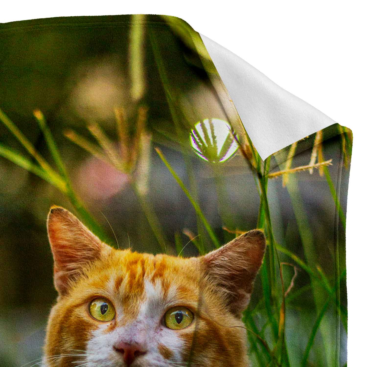 (Cat Name & Date) Full Photo Memorial Blanket