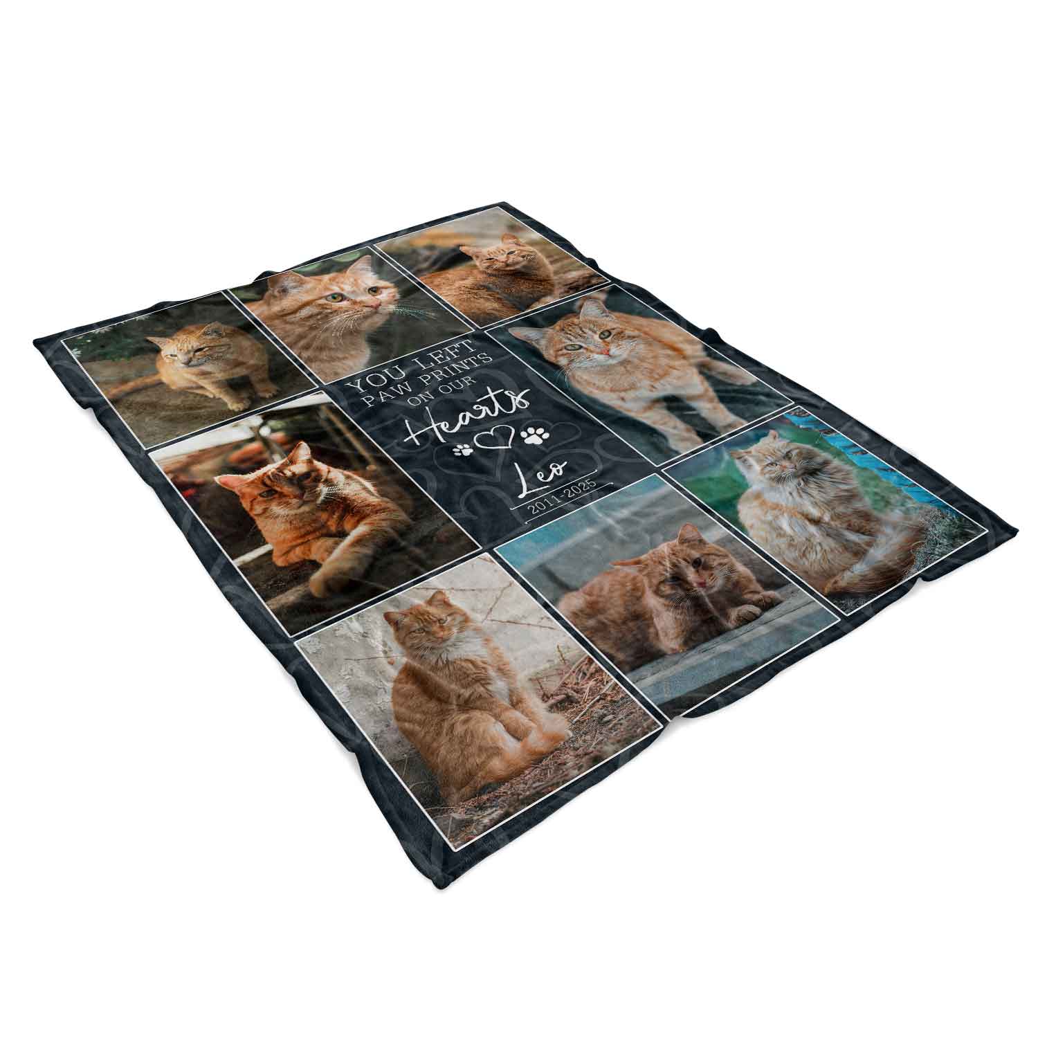 You Left Paw Prints On Our Hearts Cat Memorial Blanket