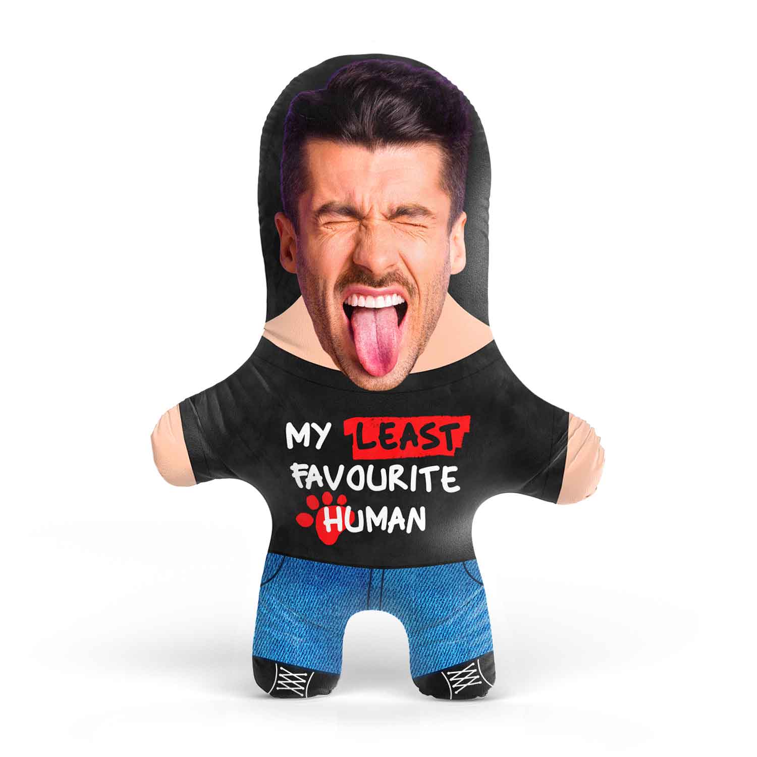 My Least Favourite Human Custom Cat Toy