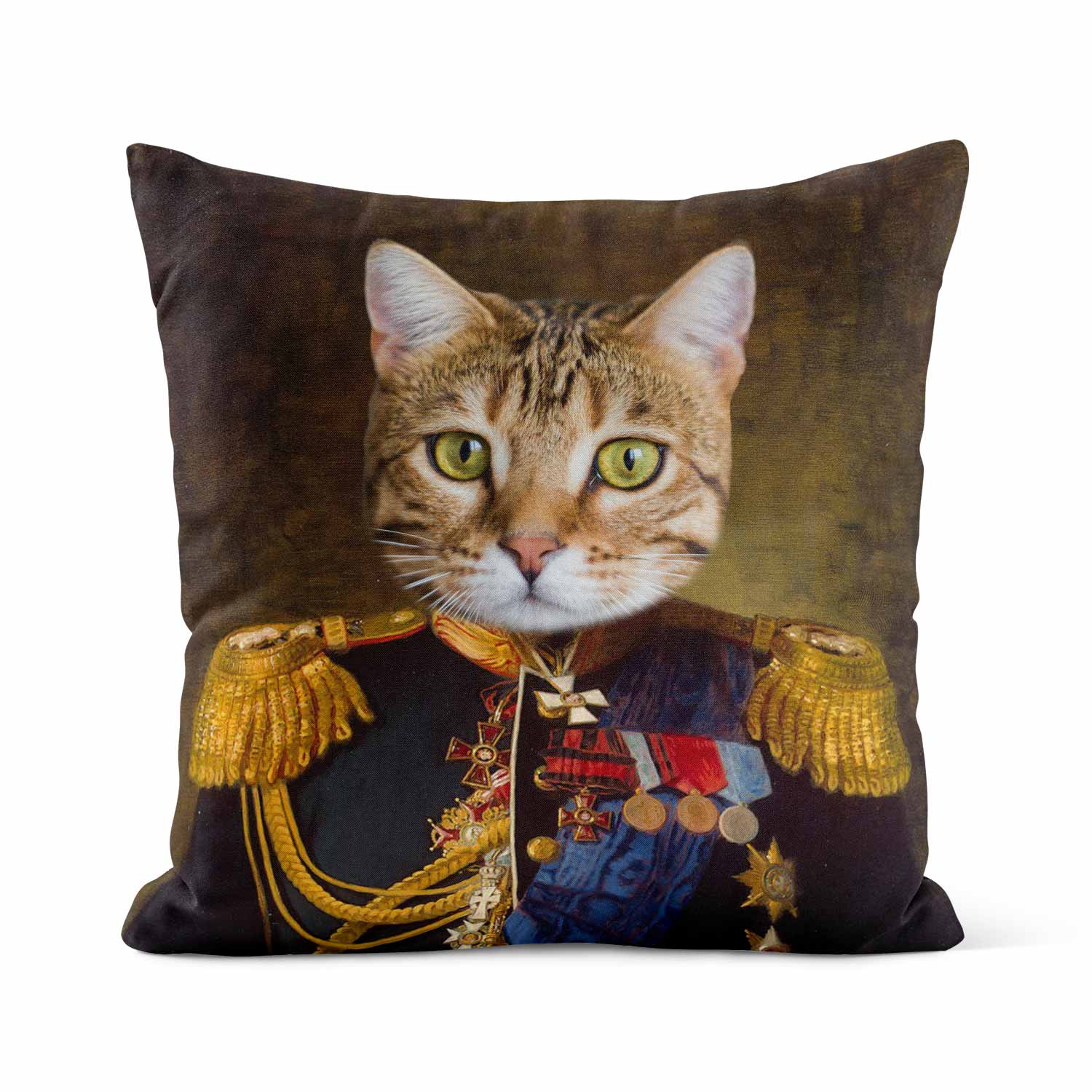 Cat Admiral Cushion