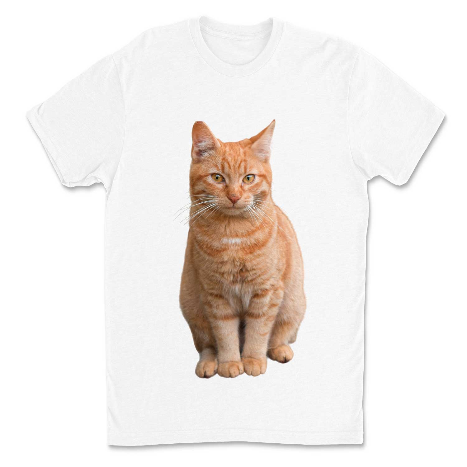 Cat Photo Unisex T-Shirt