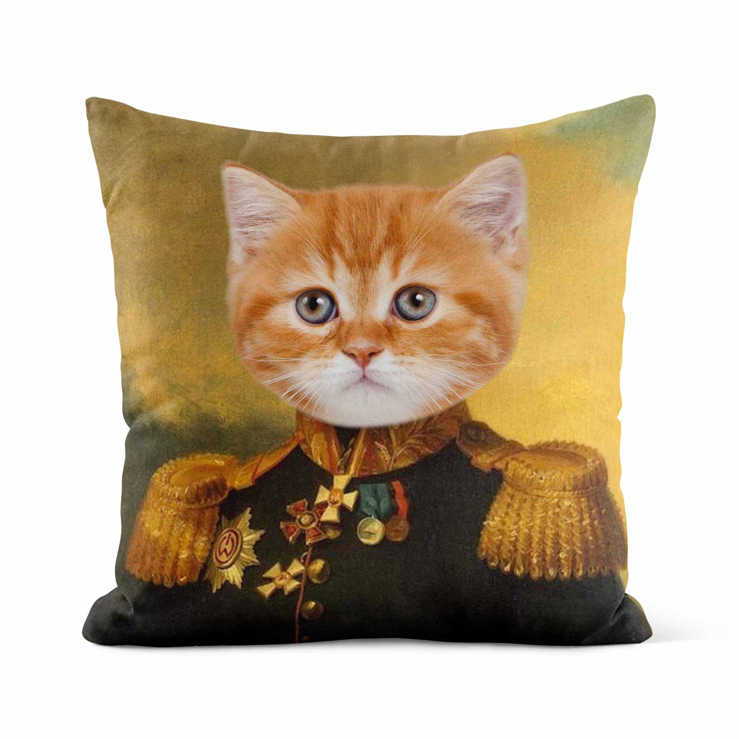 Cat General Cushion