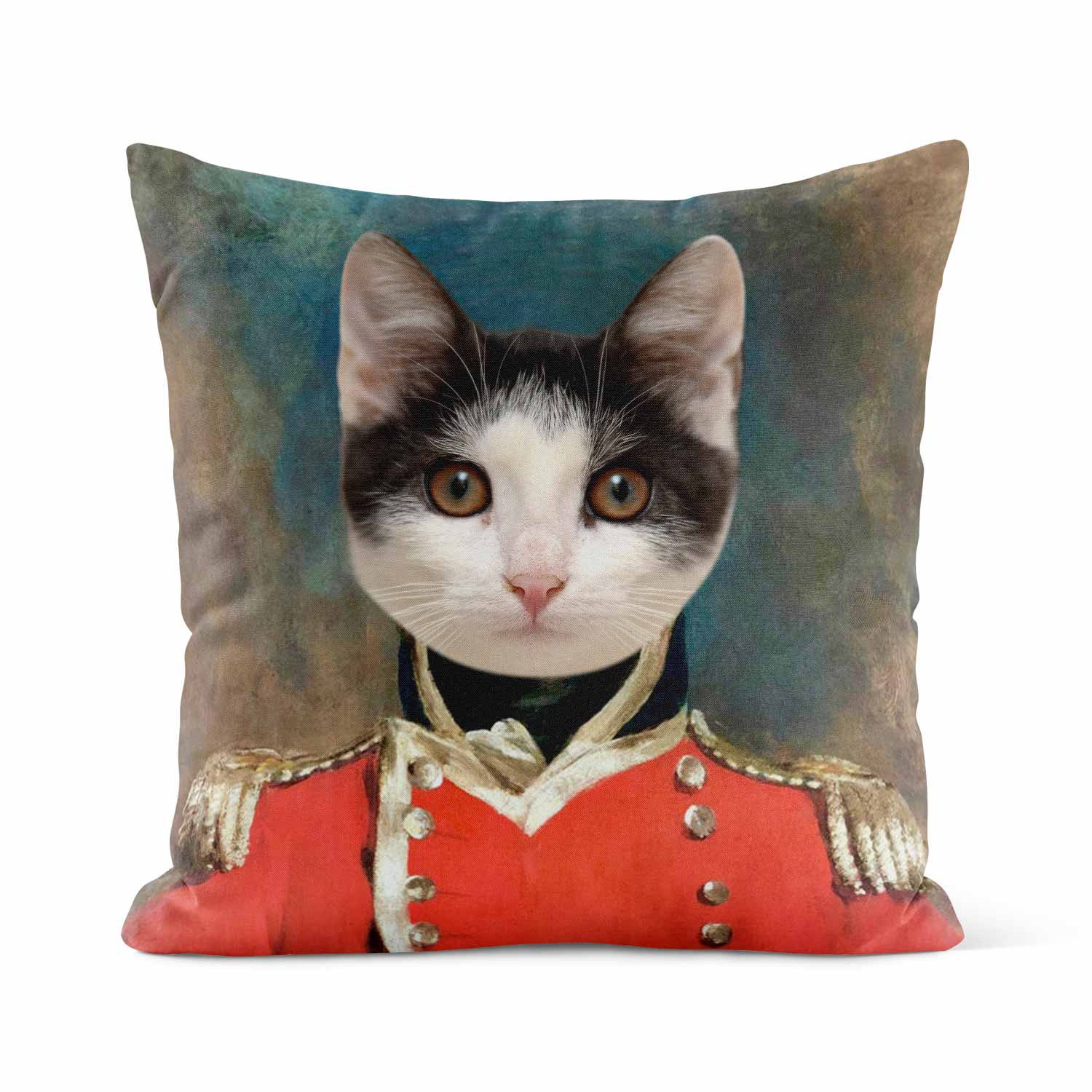 Cat Soldier Cushion